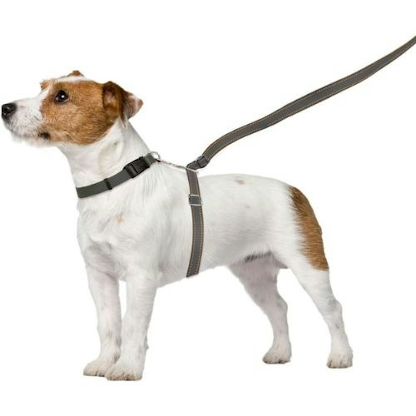 ThunderLeash No-Pull Dog Leash