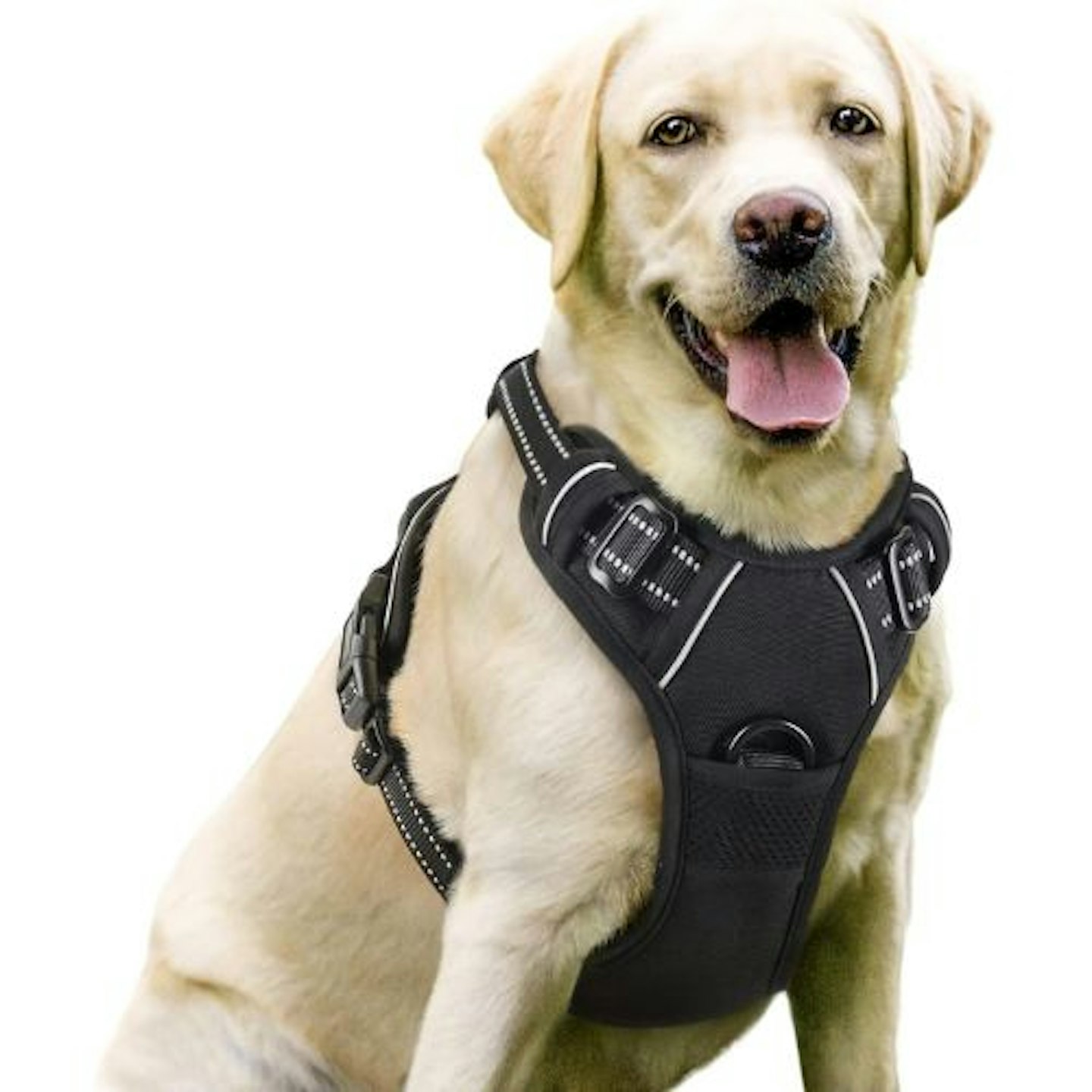 rabbitgoo Dog Harness