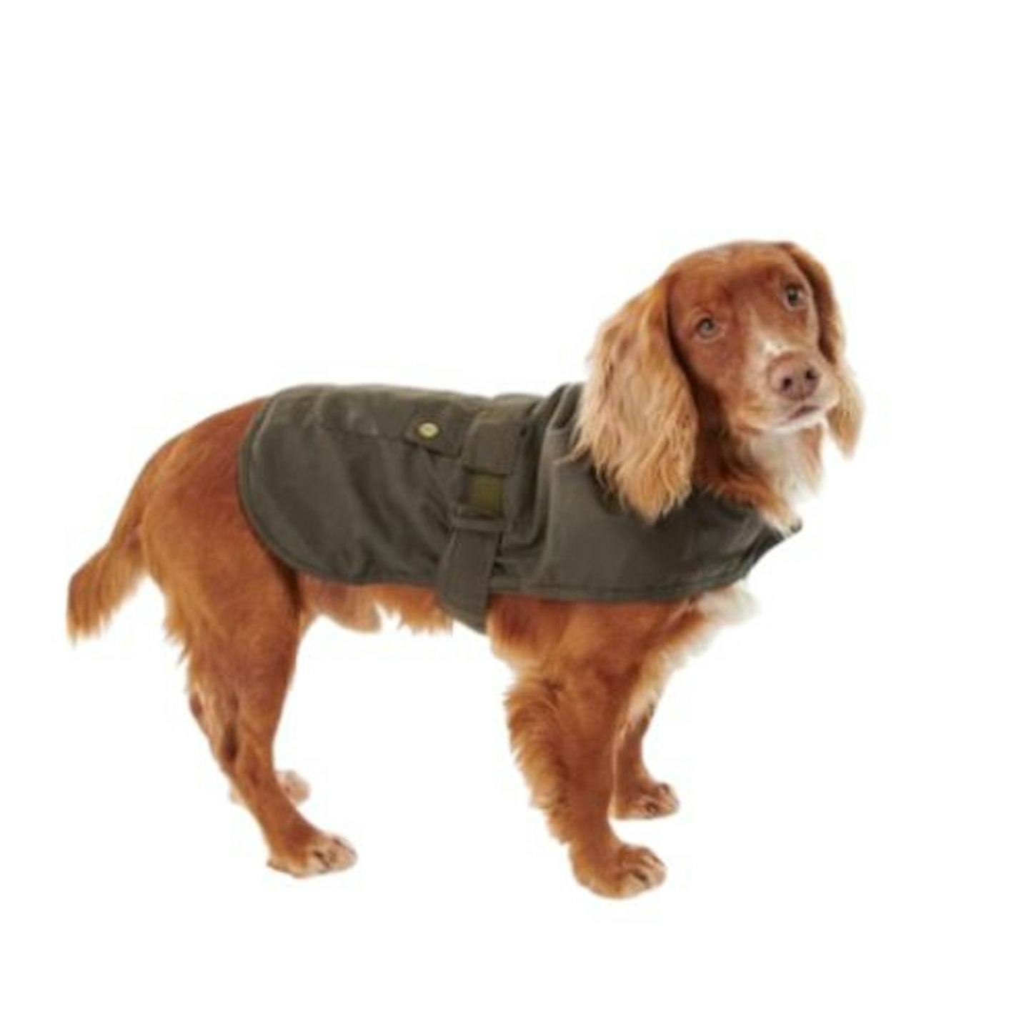 Barbour 2 in 1 Wax Dog Coat