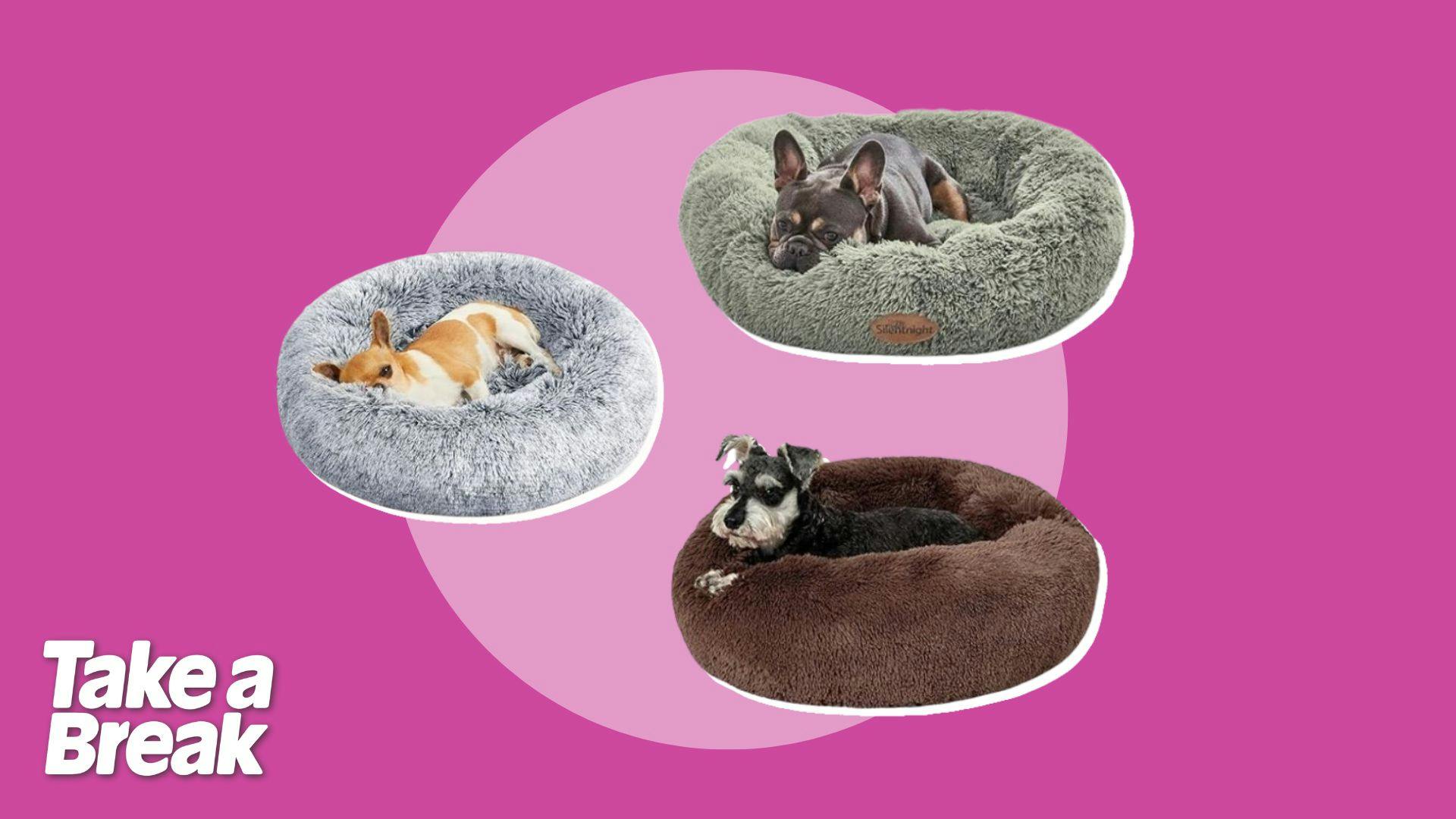 Best donut dog bed in the UK