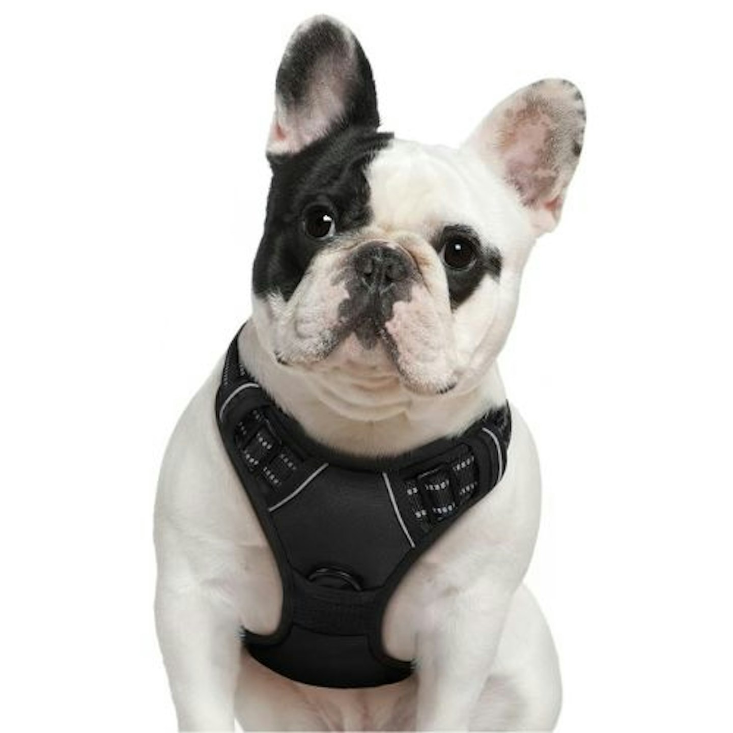 Eagloo No Pull Dog Harness