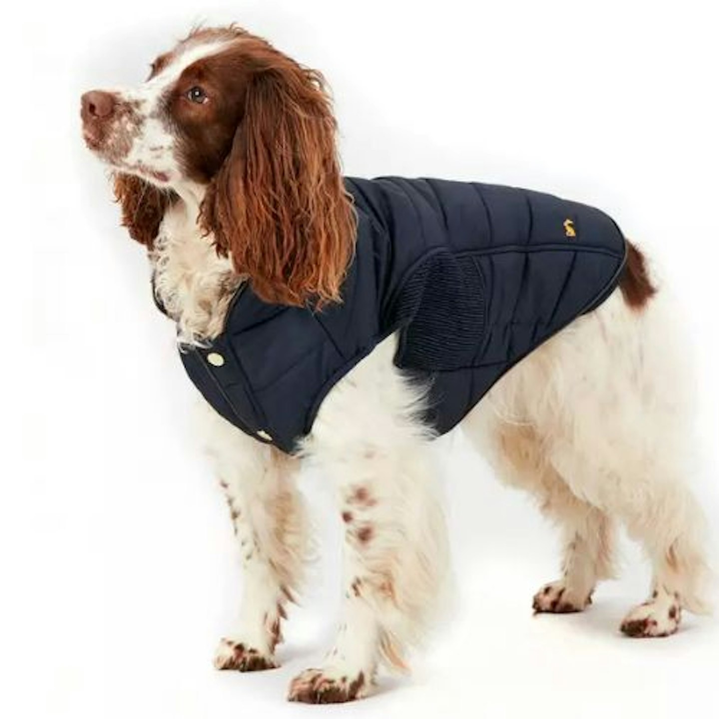 Joules Cherington Dog Coat