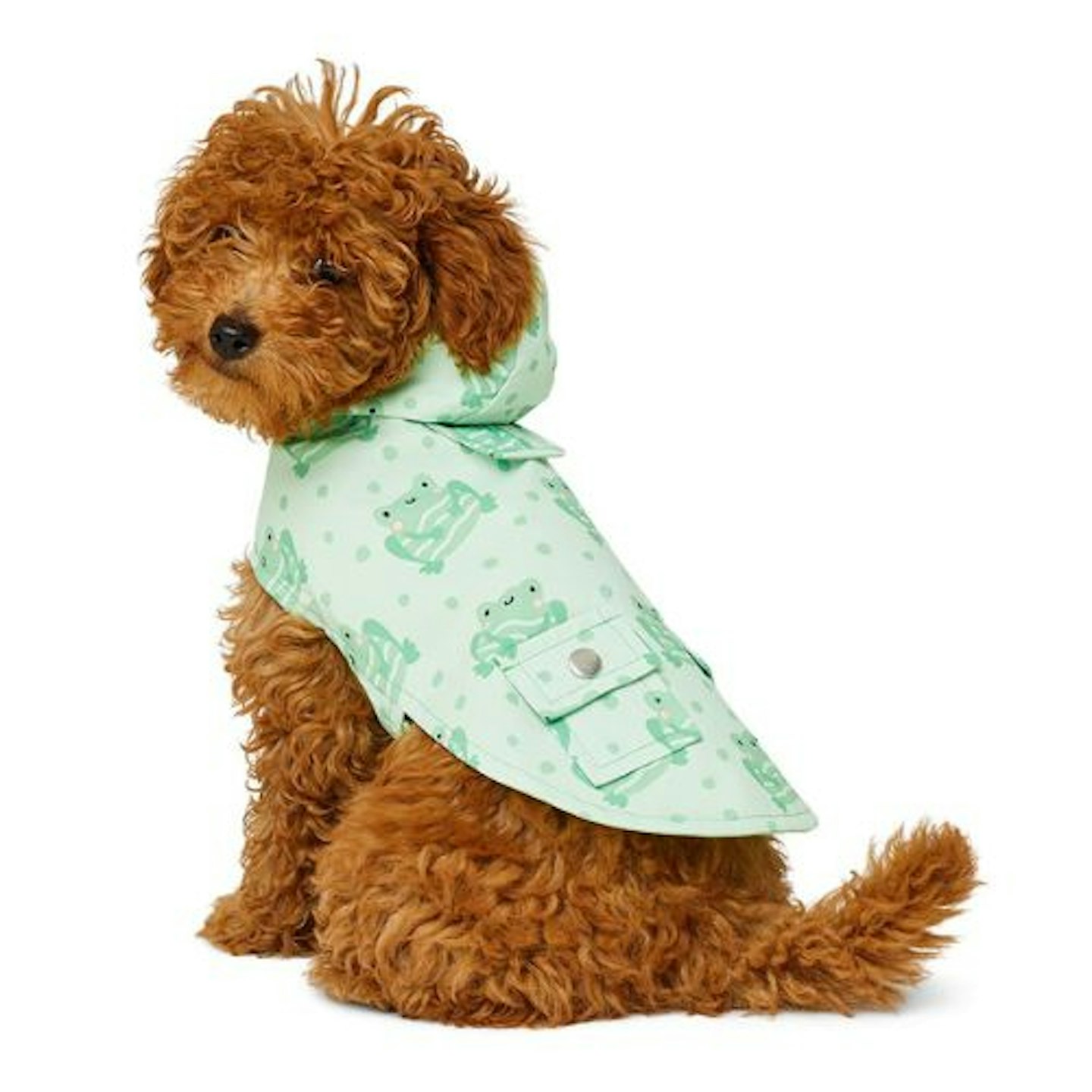 Just for Puppy Frog Print Raincoat with Hood