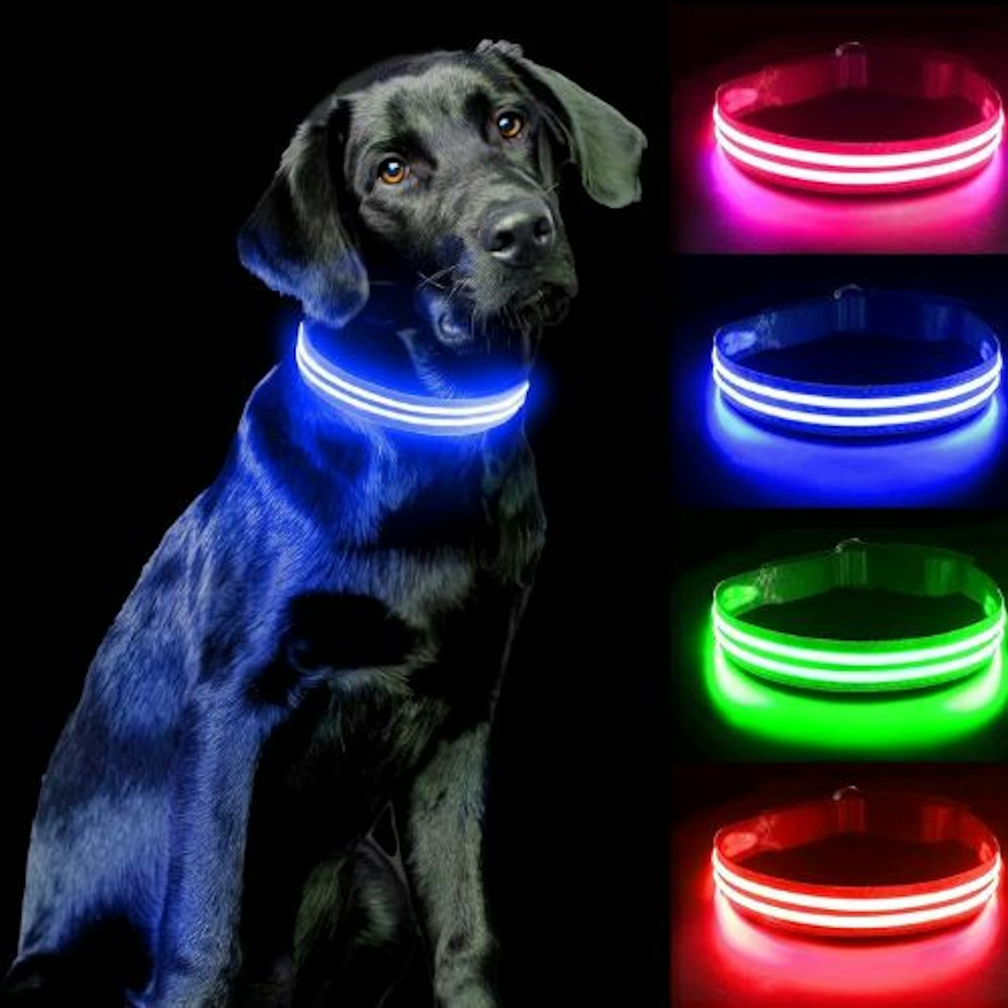 PcEoTllar Light Up Dog Collar