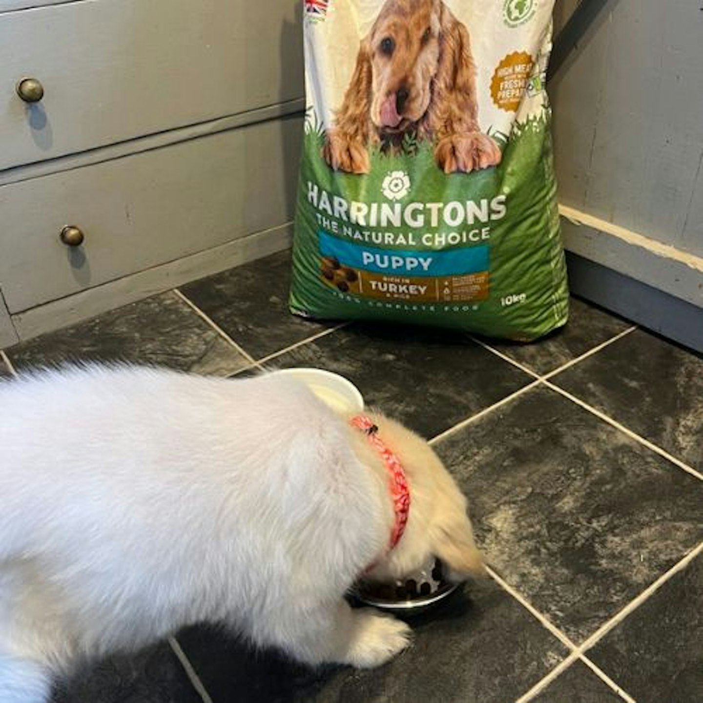 Harringtons Complete Dry Puppy Food Turkey & Rice