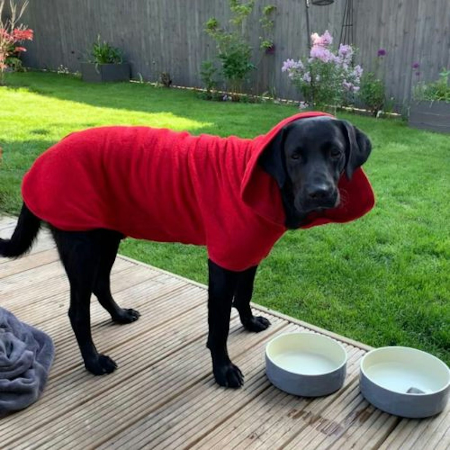 Ruff and Tumble Classic Dog Drying Coat