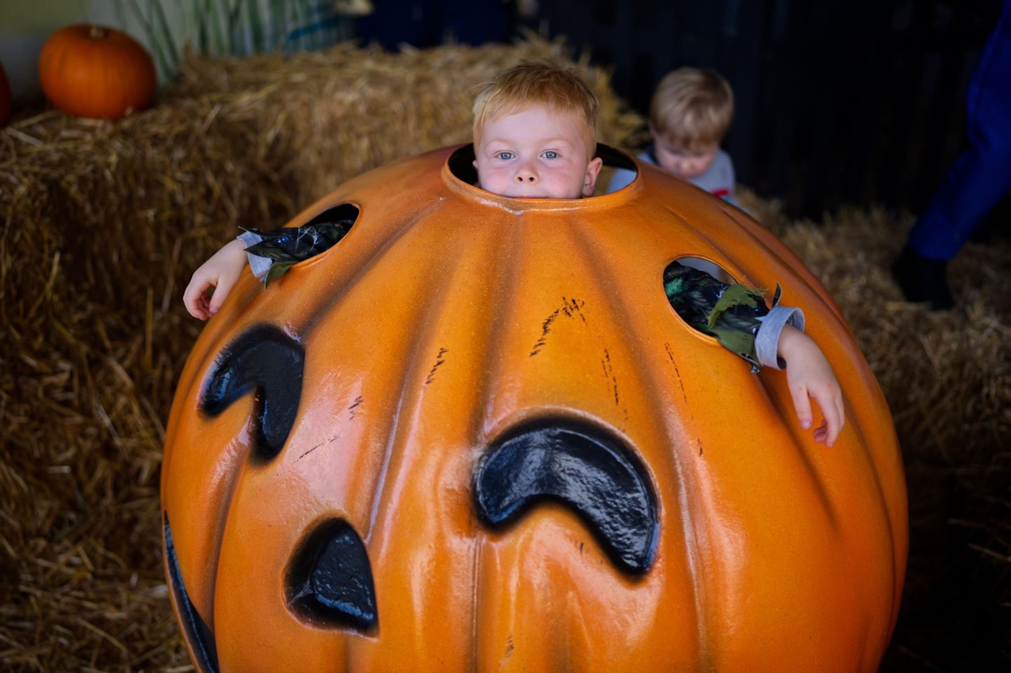 Halloween at Drusillas