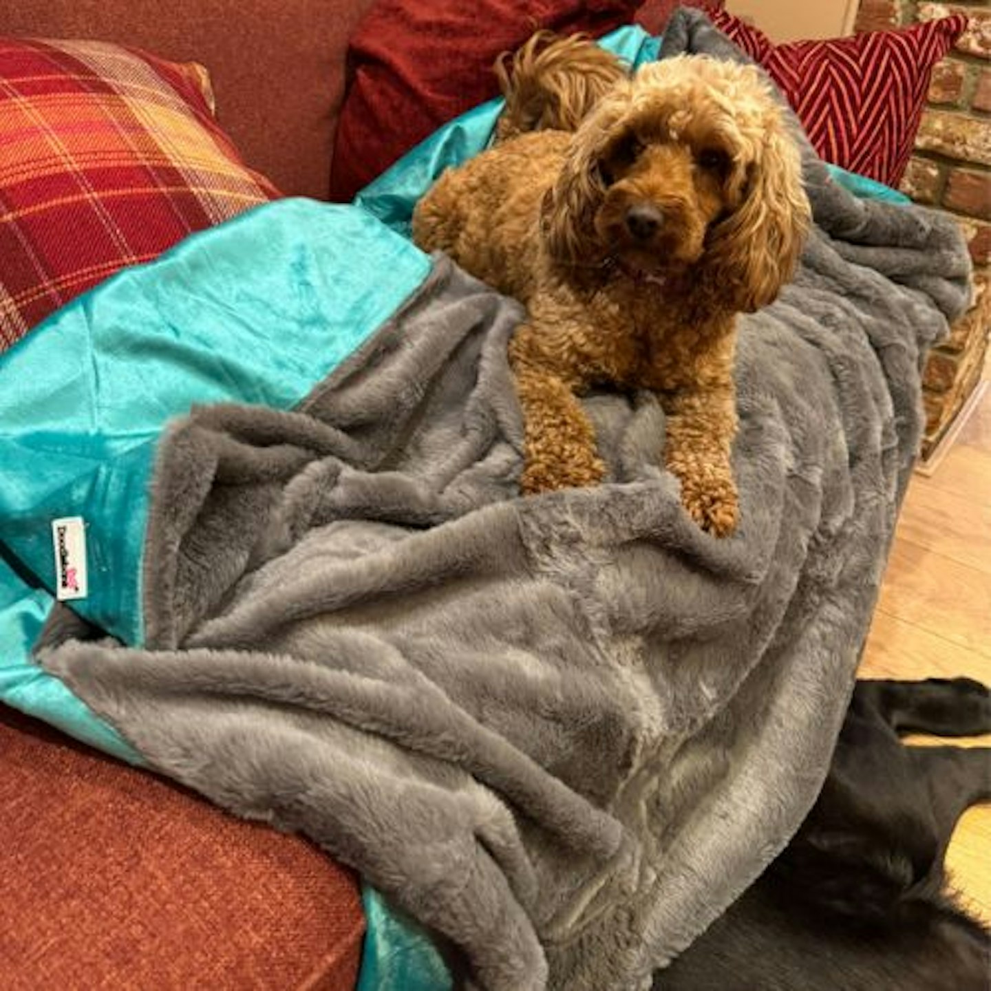 Tried & Tested by Rosie Floyd & Bella (and Barney): Doodlebone Faux Fur Dog Blanket