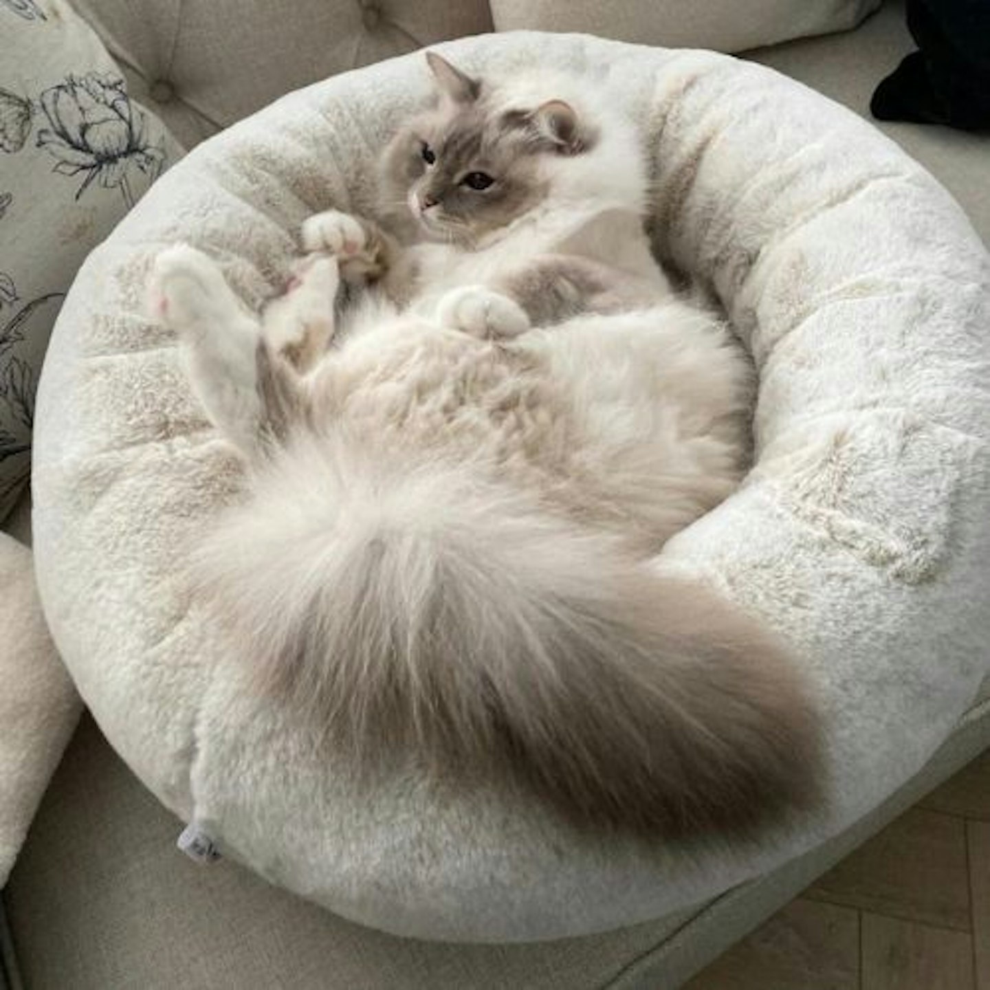 Deep donut cat bed in luxurious arctic faux fur