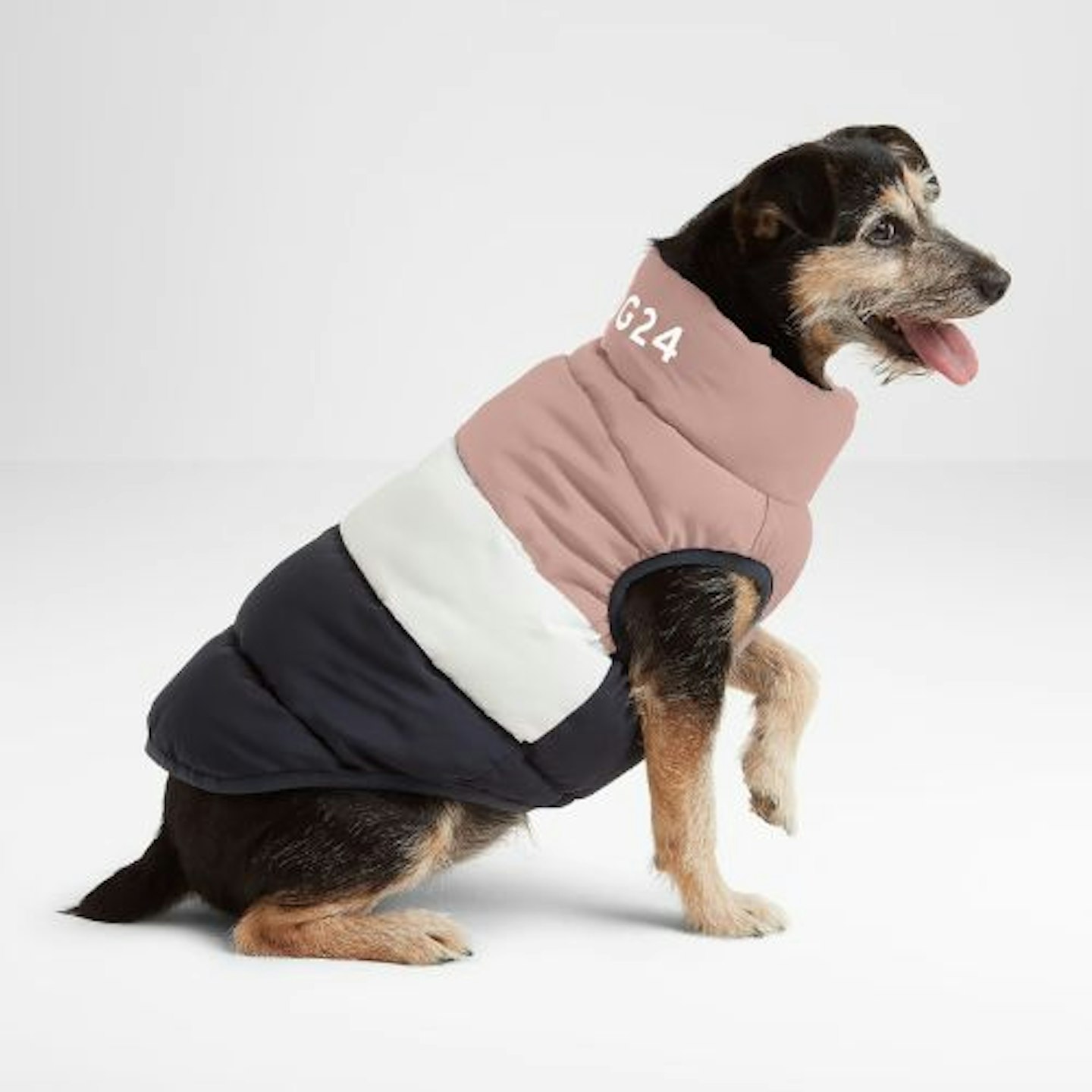 Fetch Padded Dog Coat