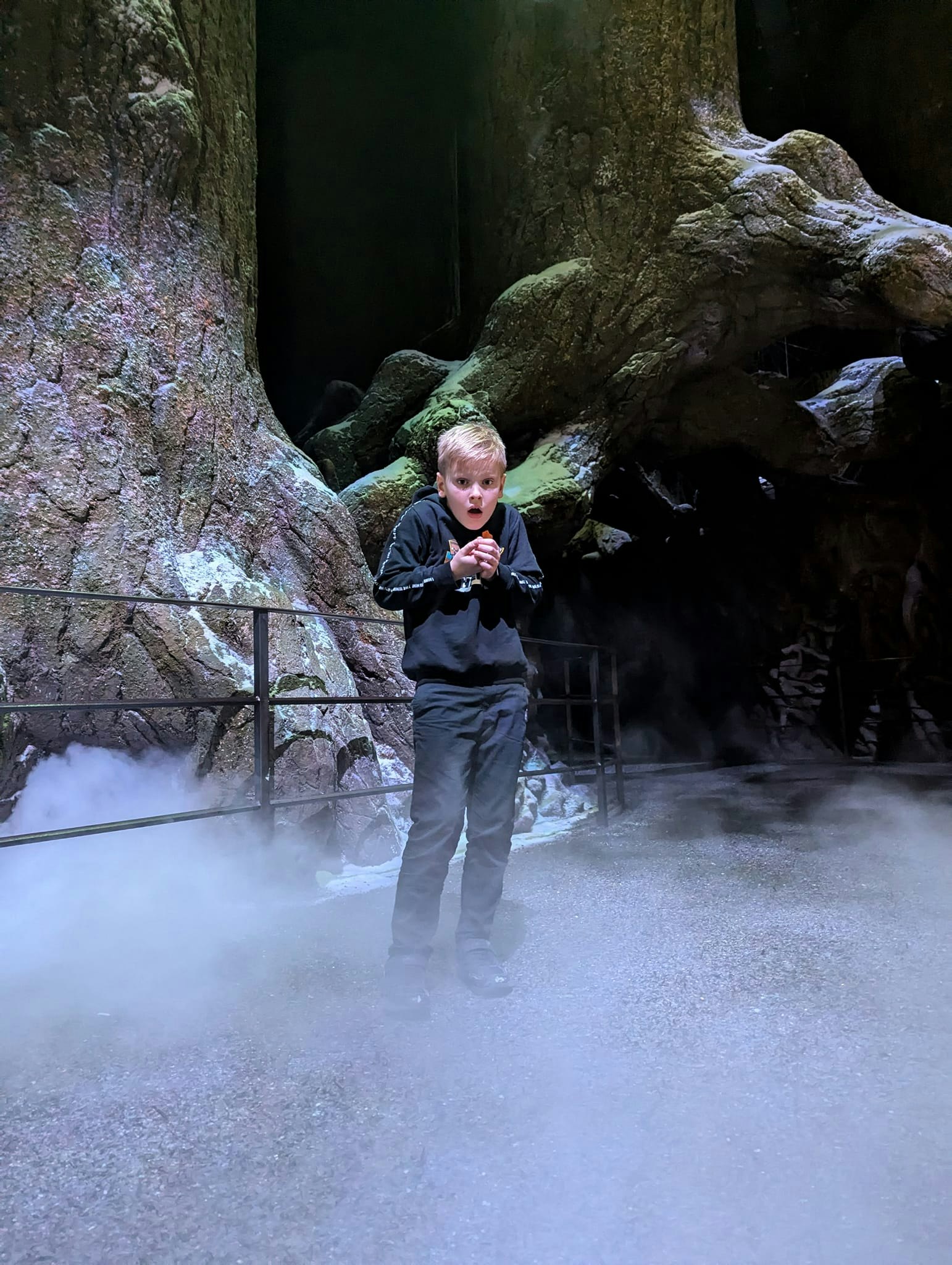 Forbidden Forest Harry Potter tour