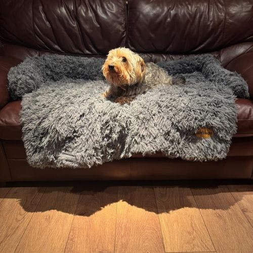 Best dog blankets Stylish soft and perfect for snuggling