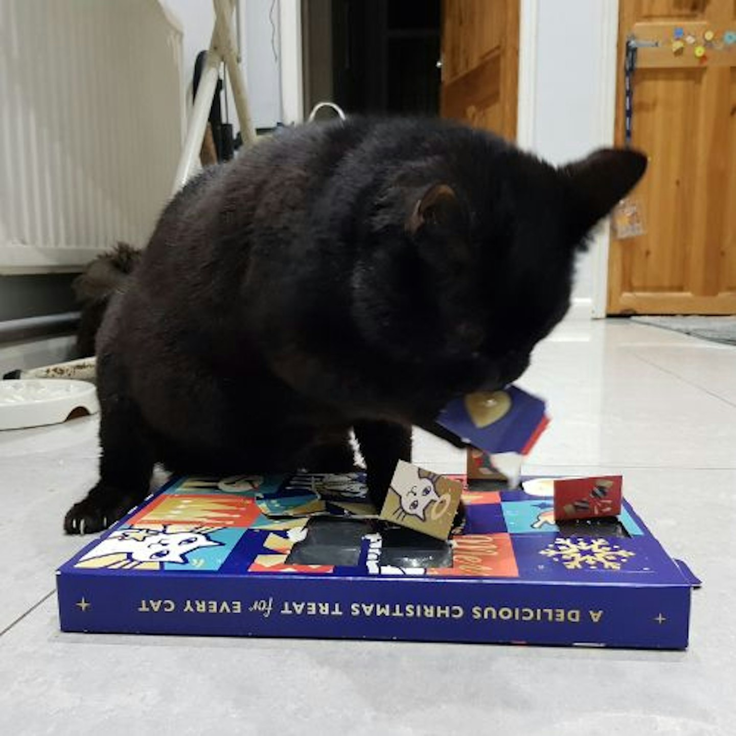 Tried & Tested by Aaron Hussain & Kitty: Lily's Kitchen Advent Calendar for Cats
