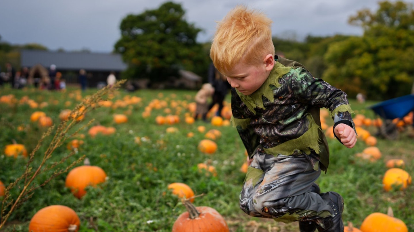 Laura Riddell | Author | Take a Break