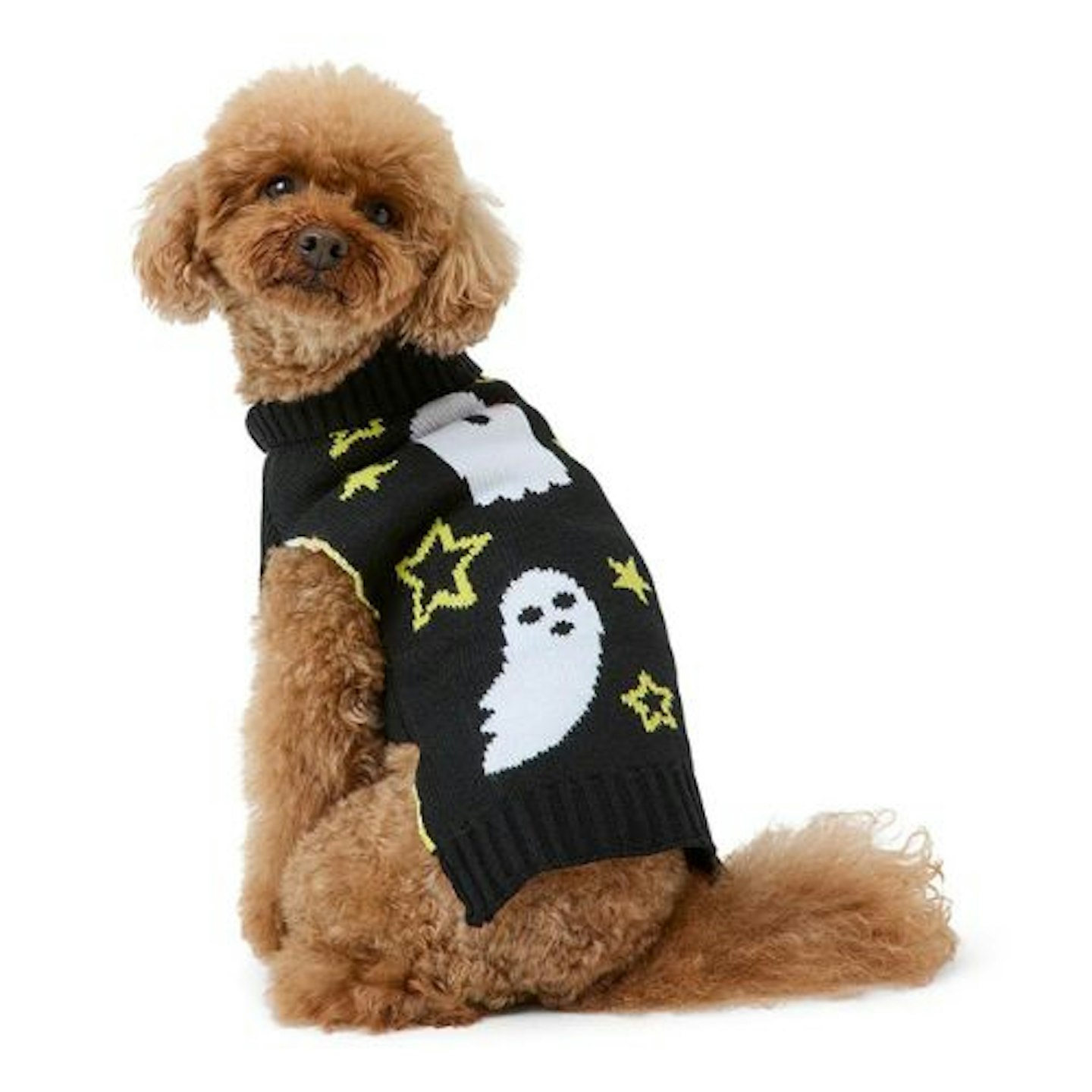 Pets at Home Halloween Ghoulish Ghosts Dog Jumper