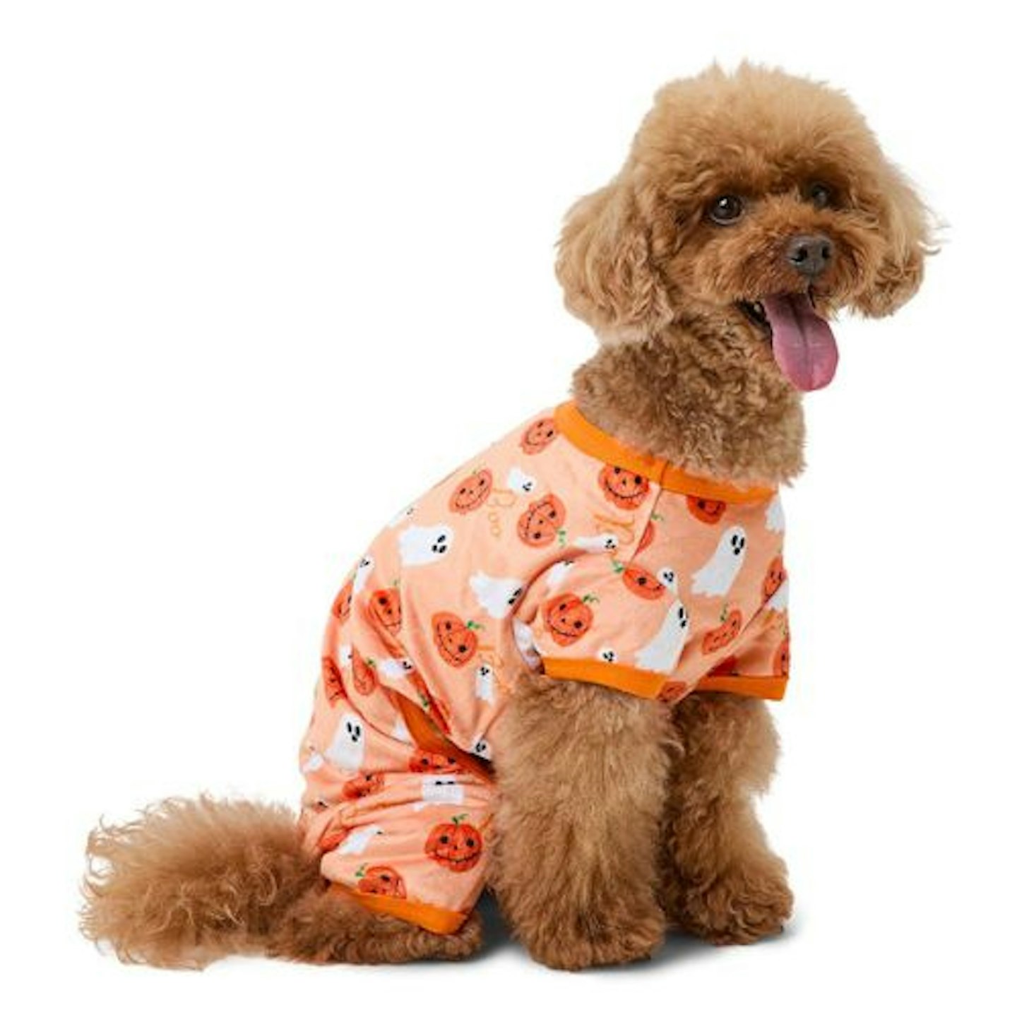 Pets at Home Halloween Onesie