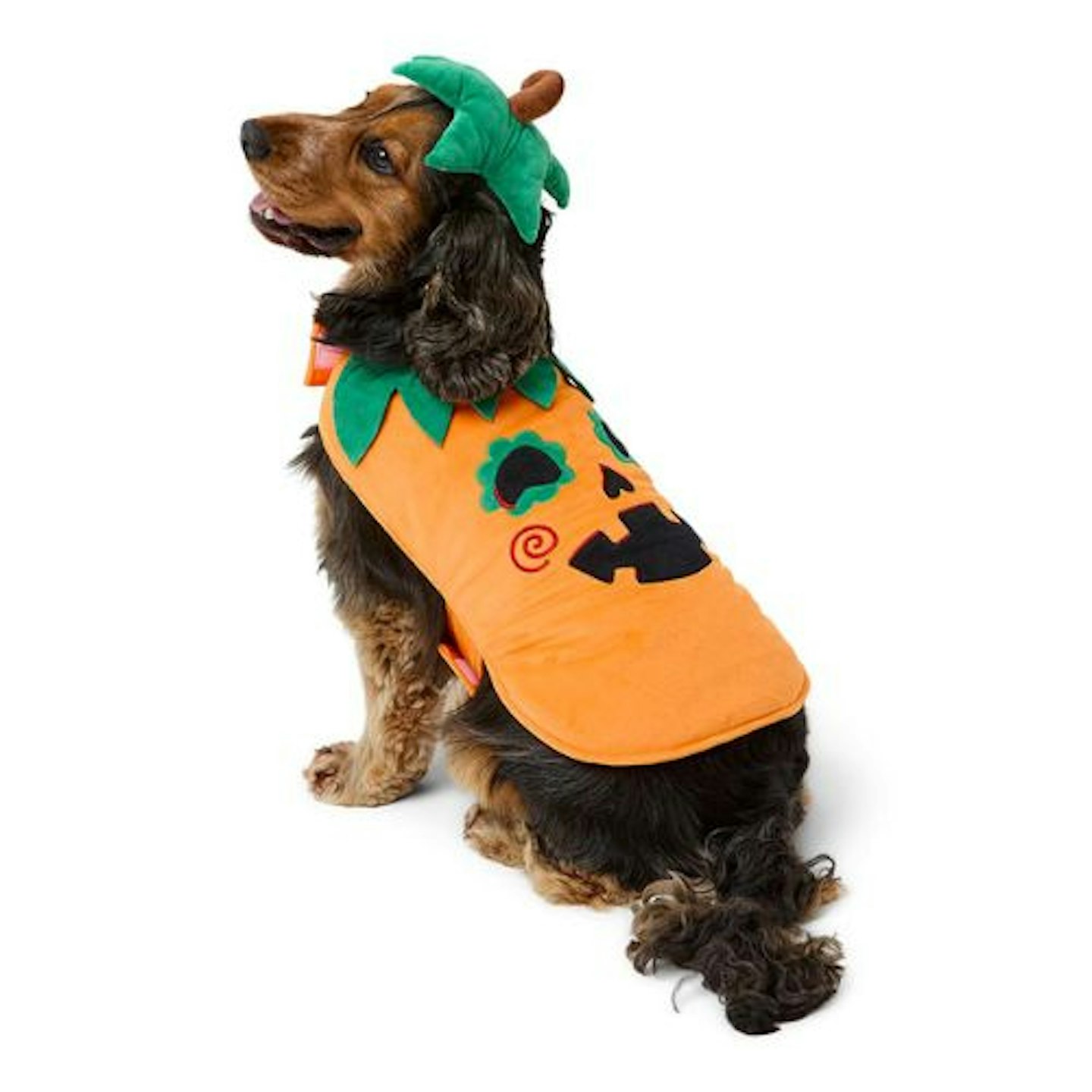 Pets at Home Halloween Pumpkin Dog Costume