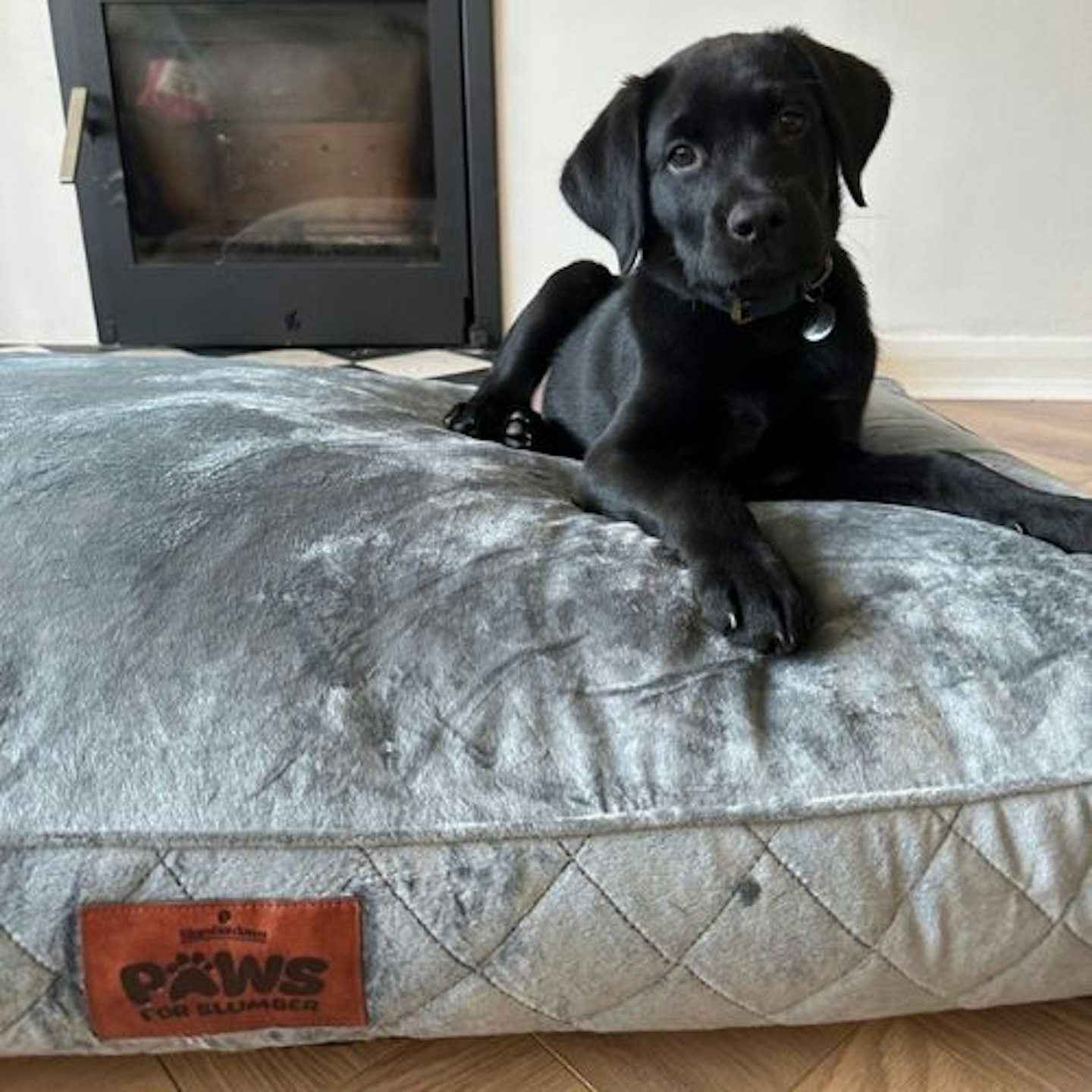 Slumberdown Dog Bed Large Washable