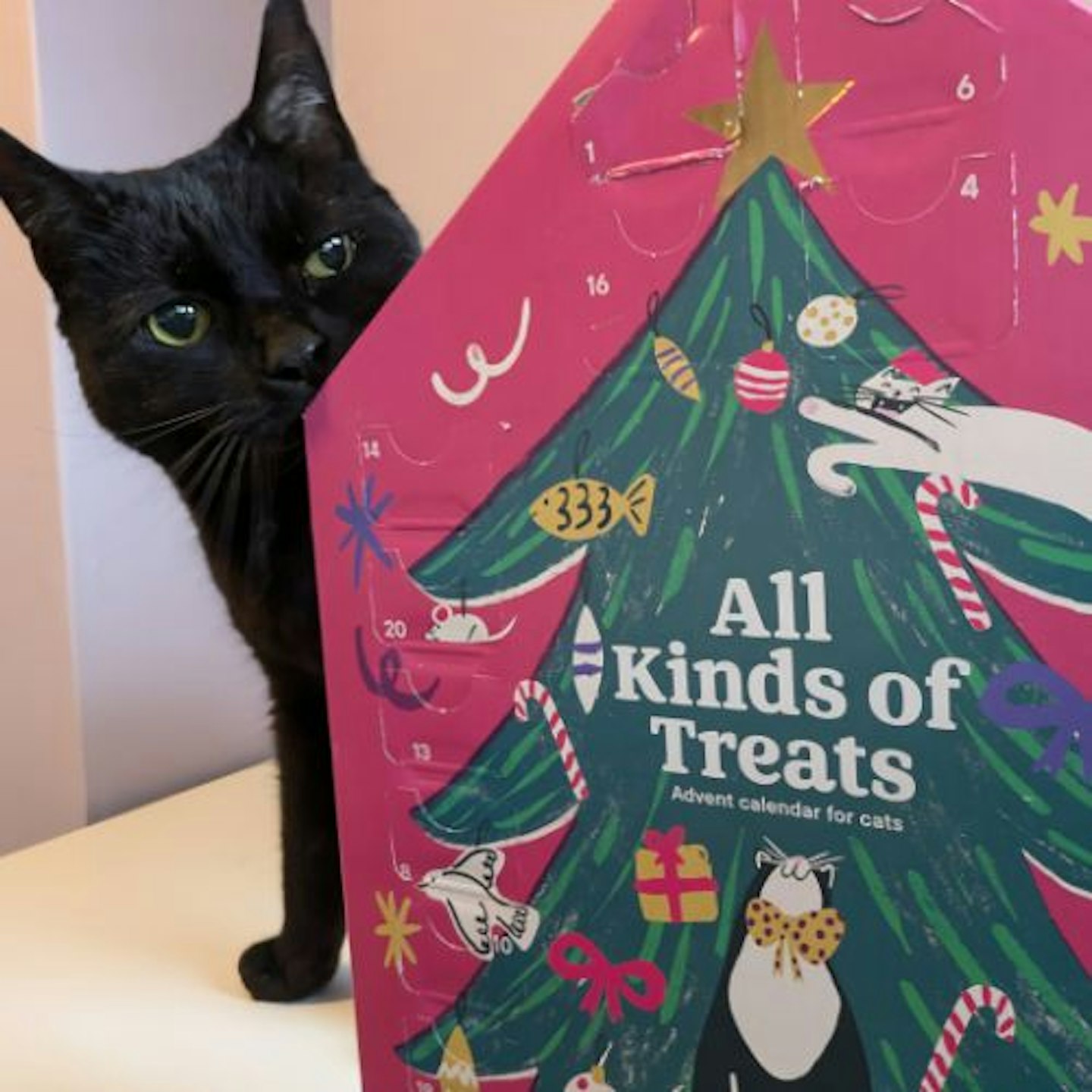 Tried & Tested by Adam Binnie & Sock: Pets at Home All Kinds Of Treats Cat Advent Calendar