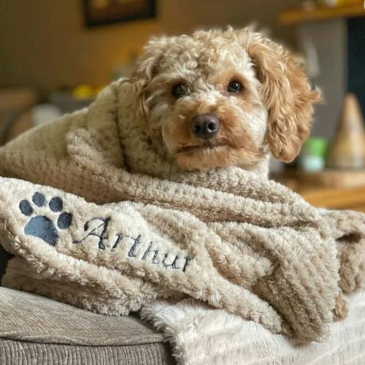 StitchInLines Personalised Dog Blanket