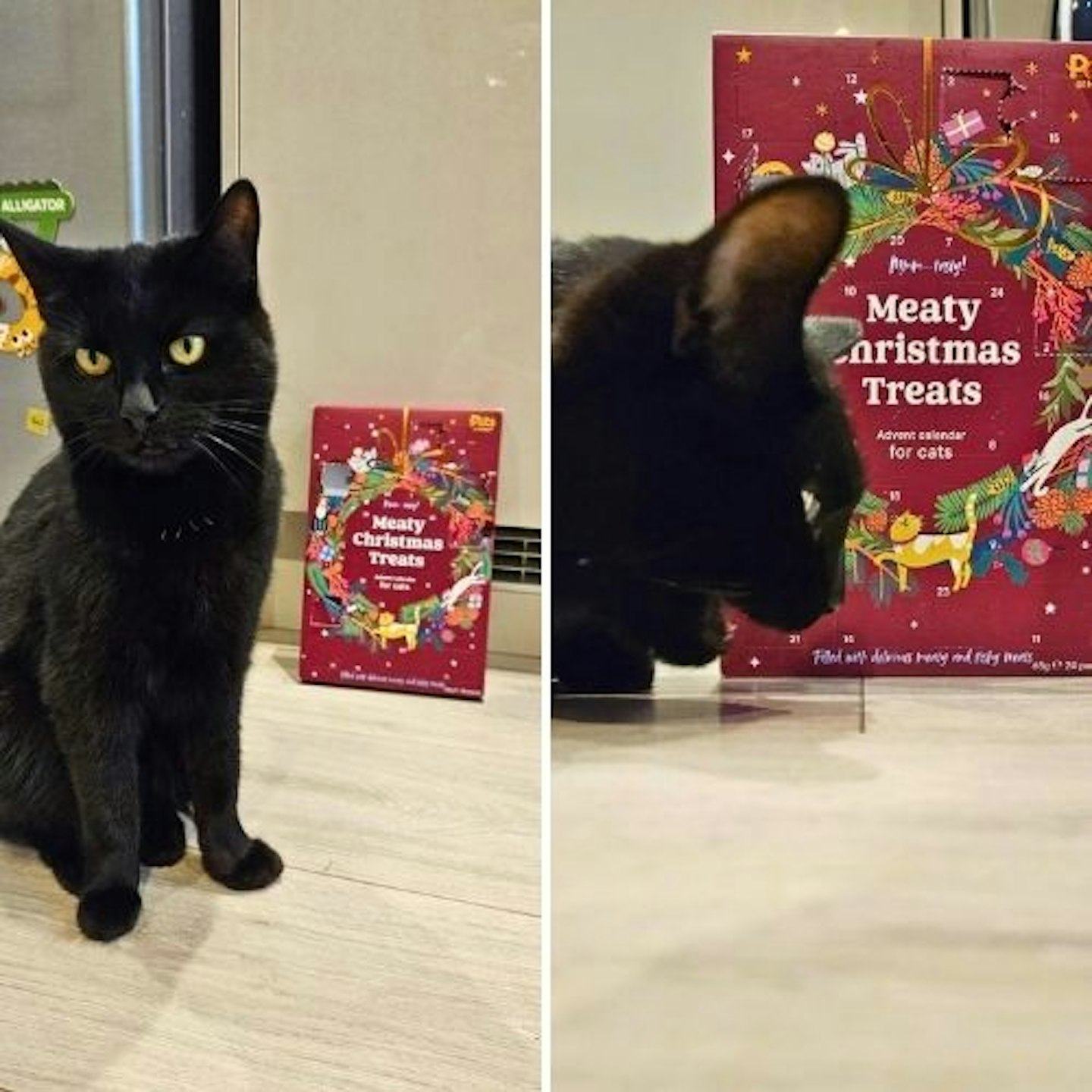 Tried & Tested by Clare Bradley & Sushi: Pets at Home Christmas Meaty Treats Cat Advent Calendar