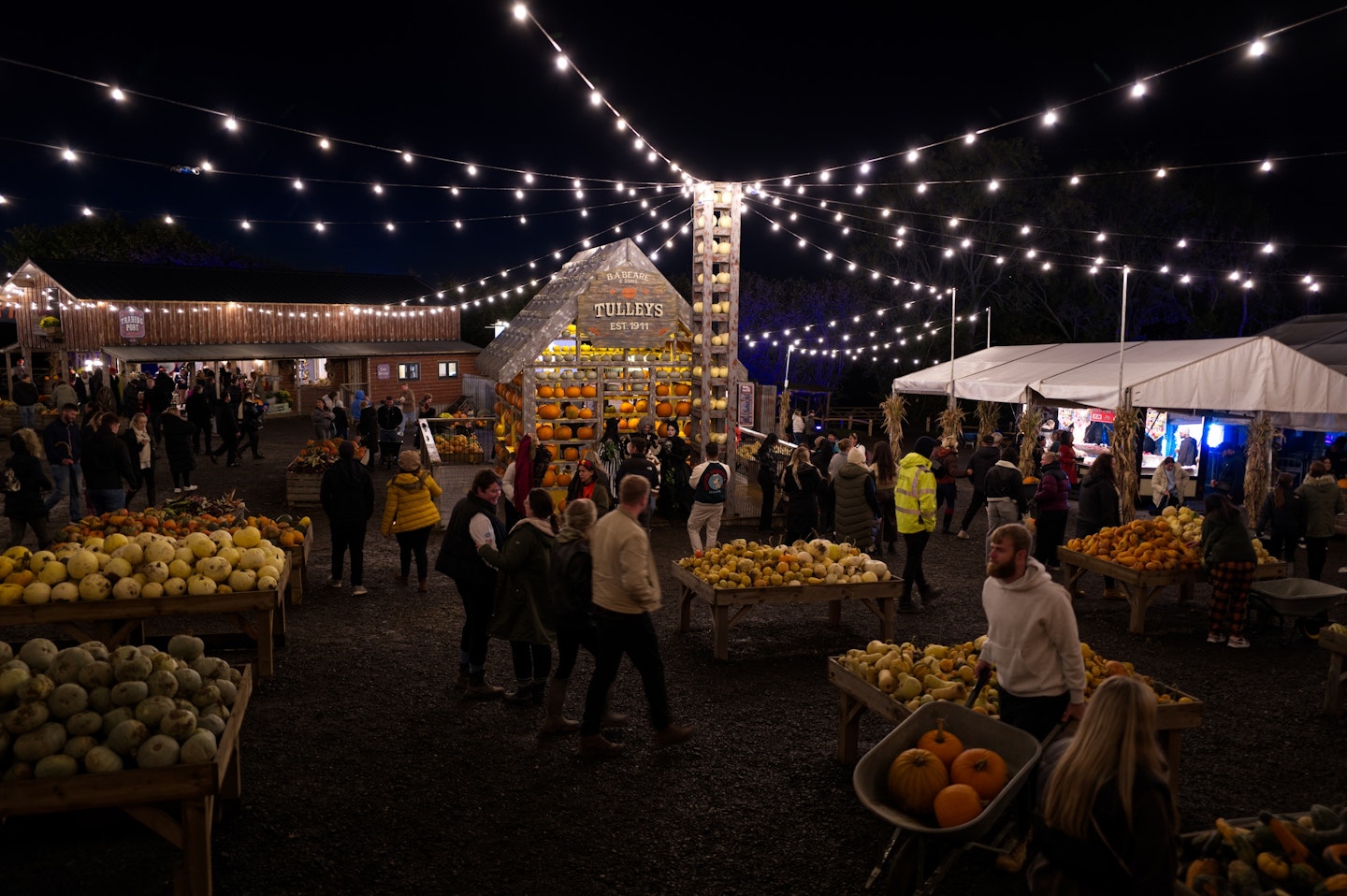 Tulleys Pumpkin Nights