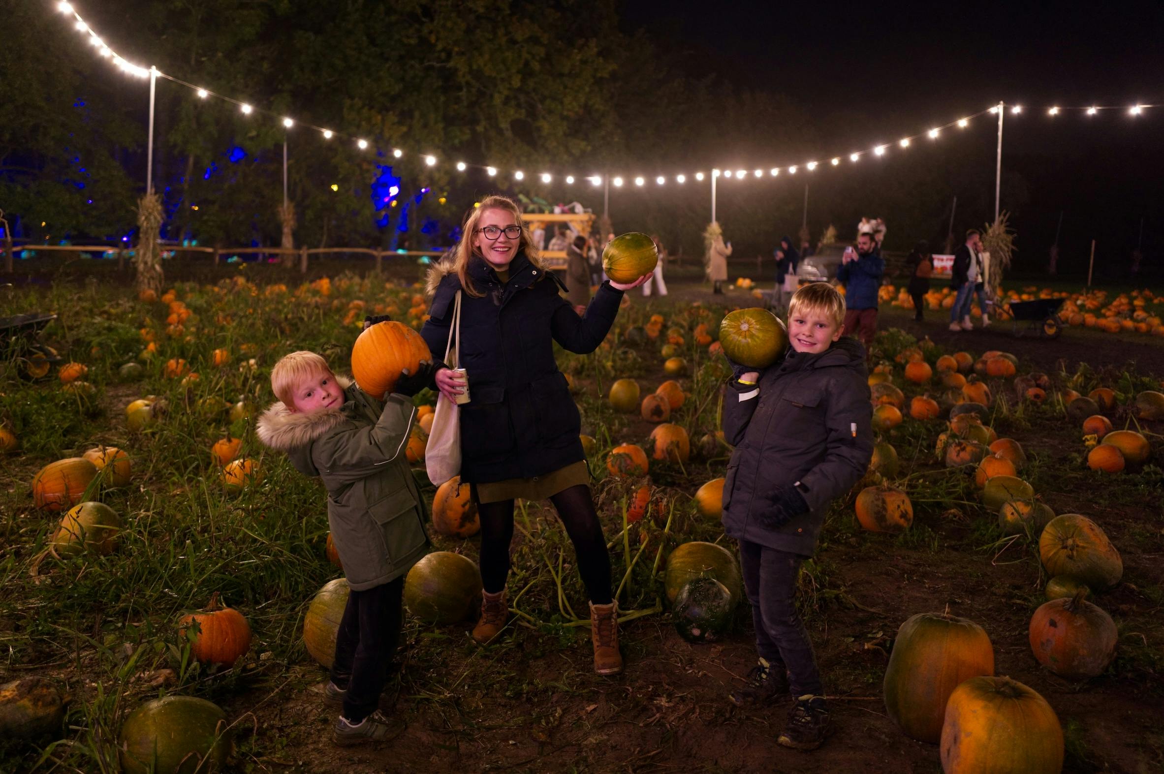 Family days out The farm where you can pick pumpkins under moonlight