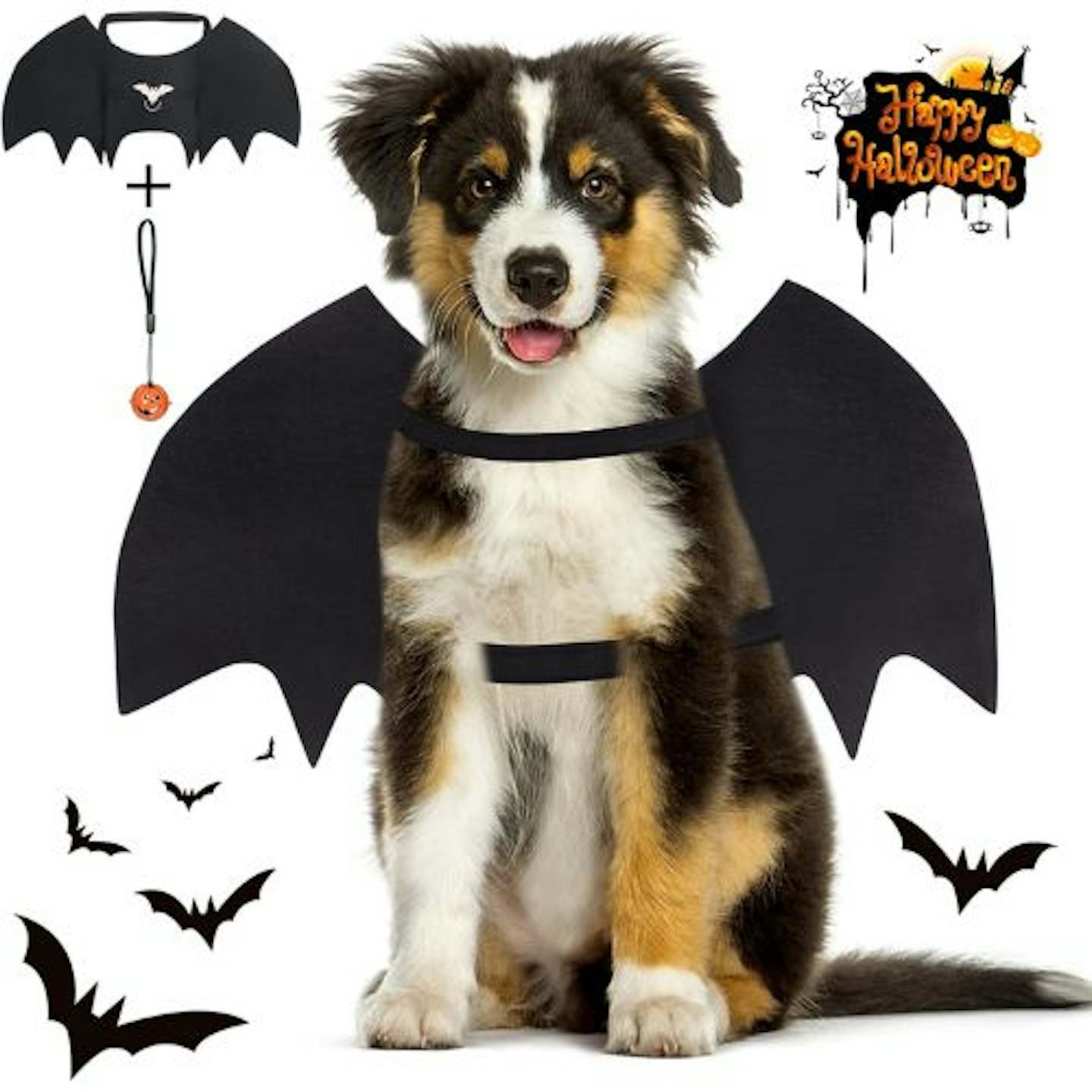 Vivifying Dog Bat Wings