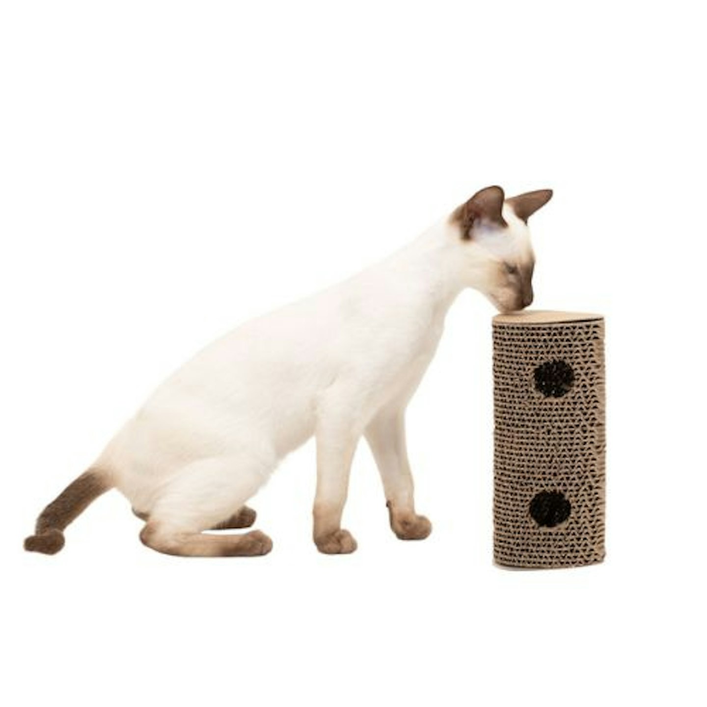 Willow's Scratch Play and Roll Cat Toy