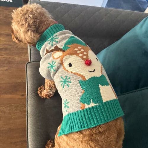 Pets at home dog fashion christmas jumper