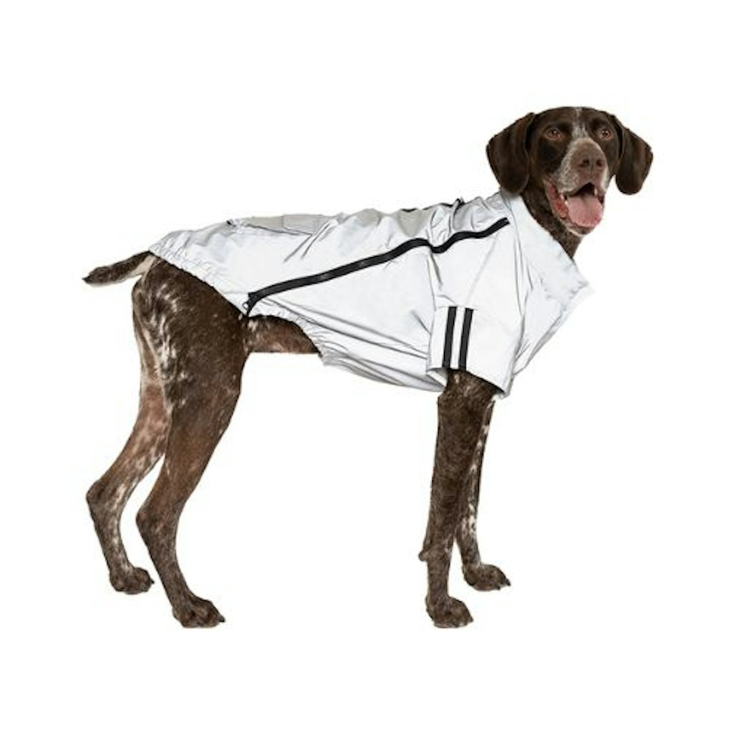 Canada Pooch Night Vision Reflective Jacket Dog Coat