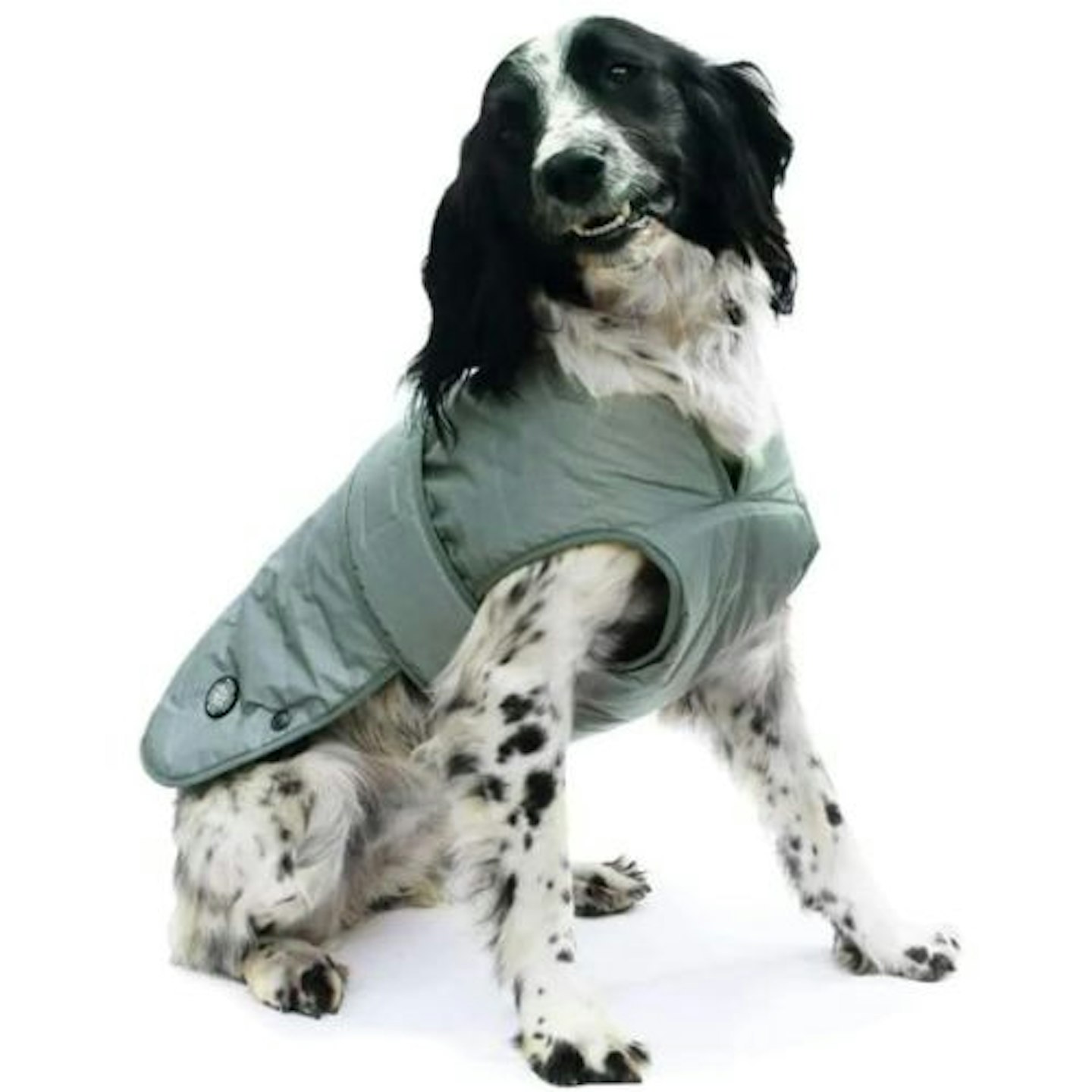 Muddy Paws Ultimate Reflective Dog Coat