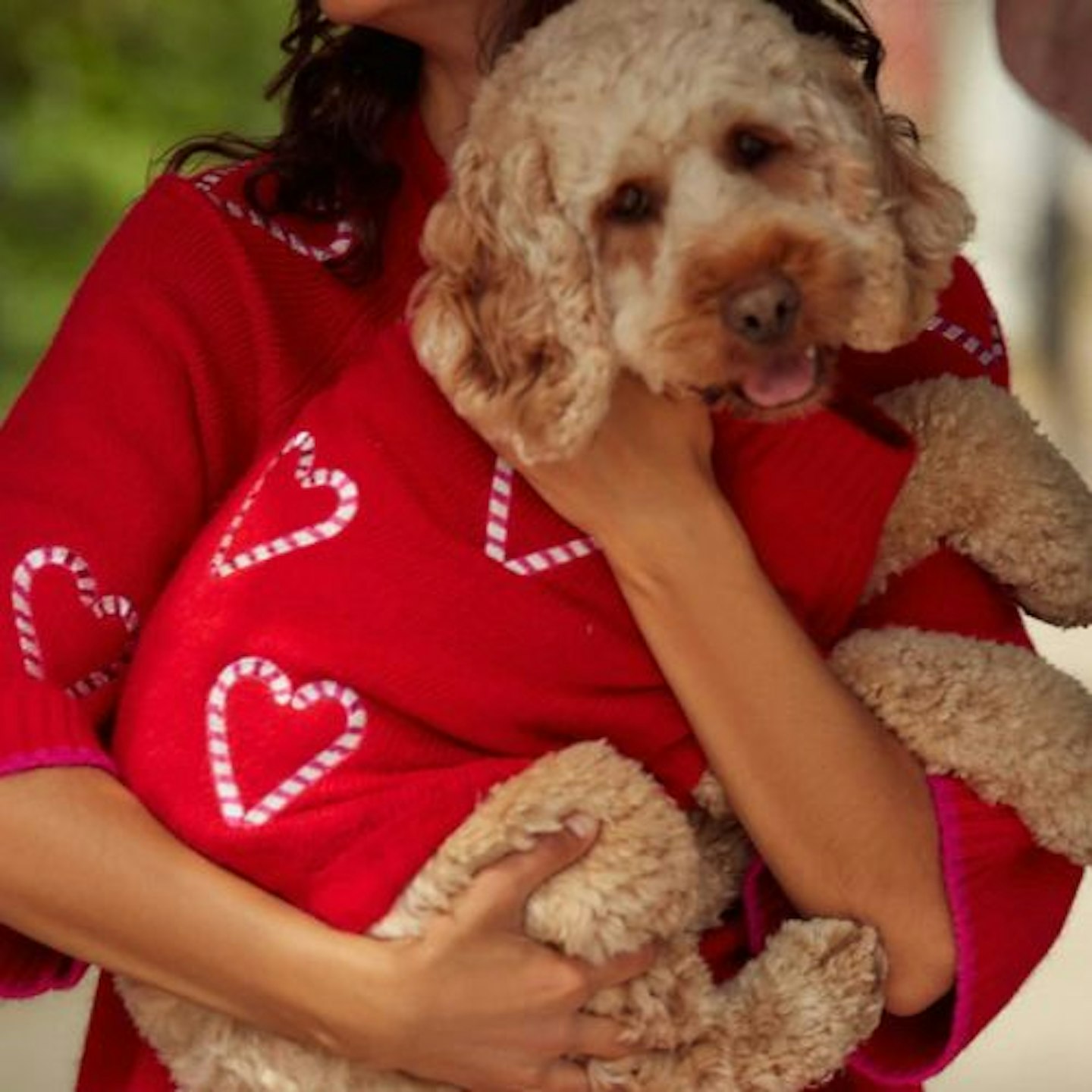 Next Red Candy Cane Heart Christmas Dog Jumper