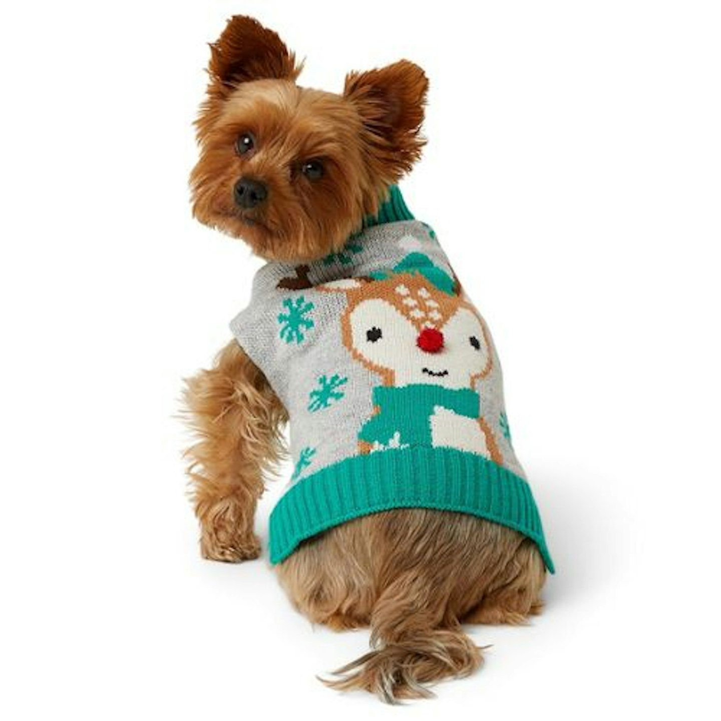 Pets at Home Christmas Rudolph Dog Jumper