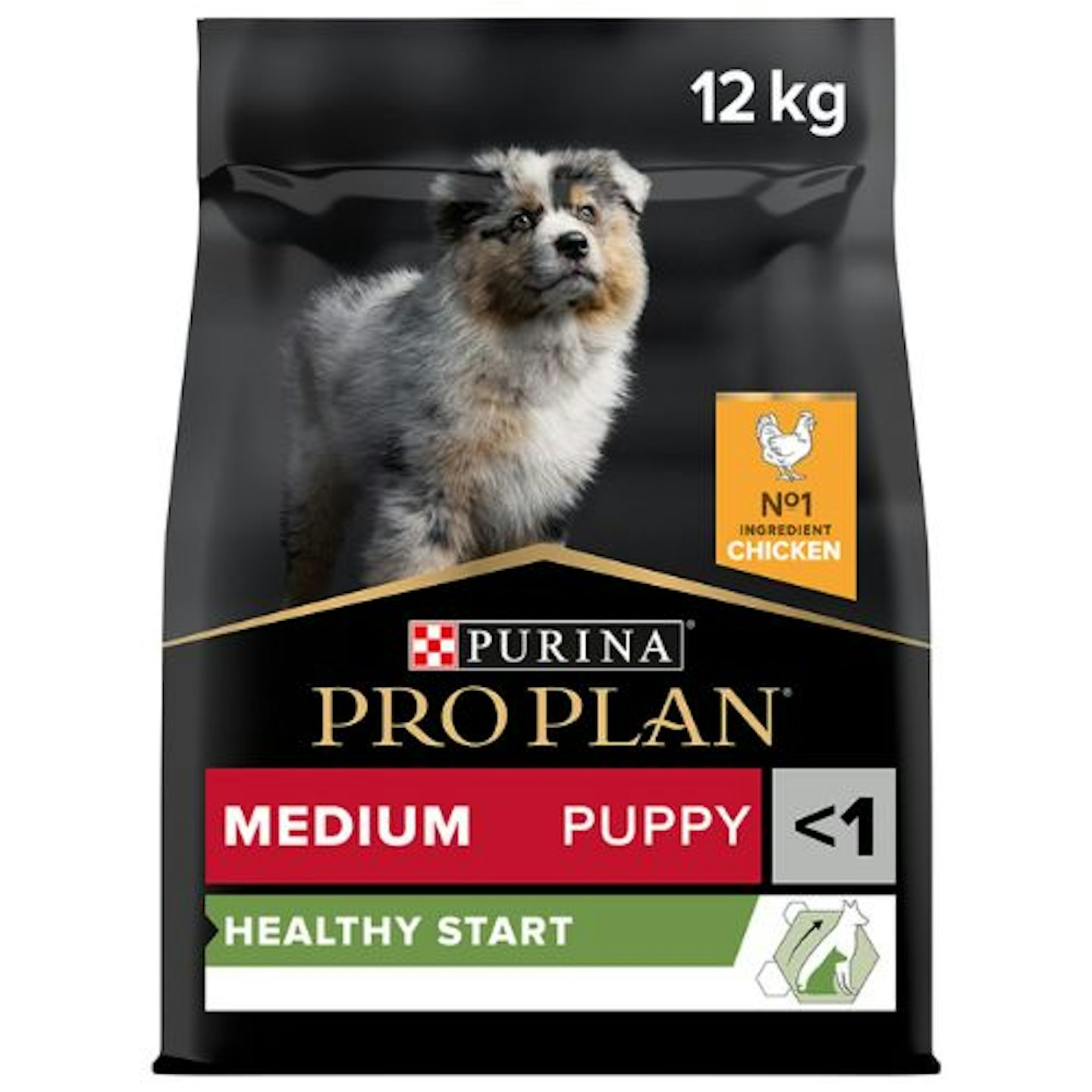 Pro Plan Healthy Start Medium Puppy Dry Dog Food Chicken, 12kg