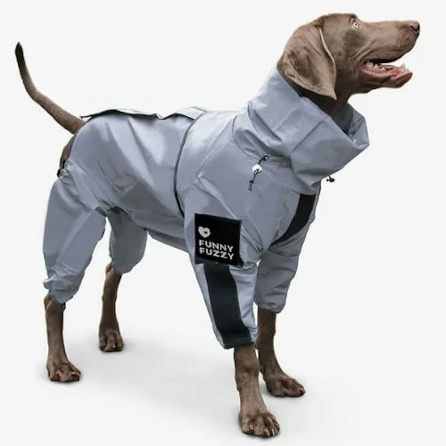 Reflective All-Weather Waterproof Space Coat Dog Rain Coat