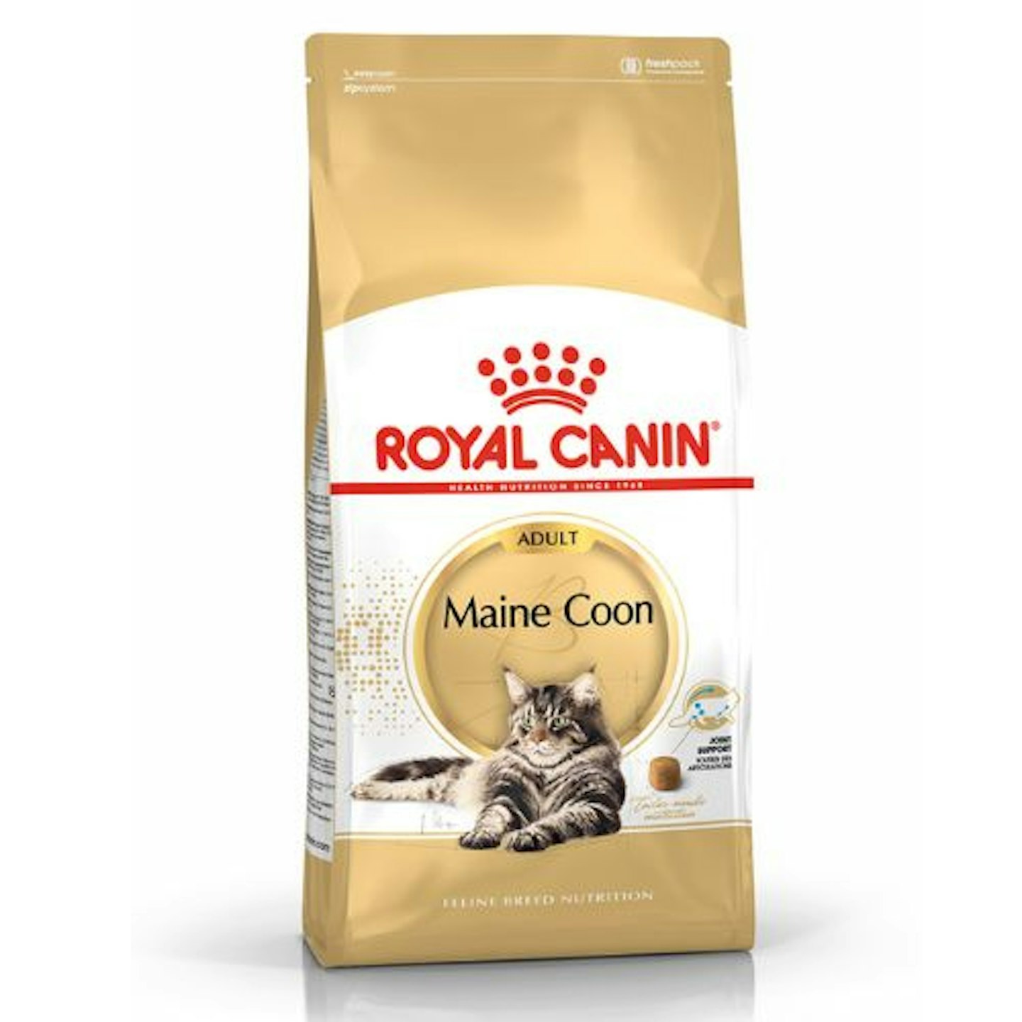 Royal Canin Maine Coon Adult