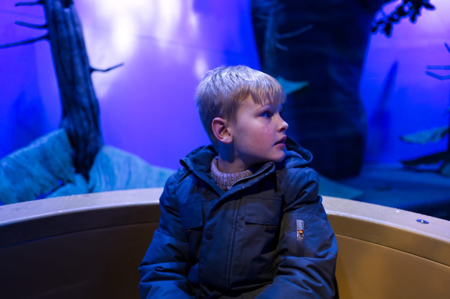 Chessington Winter's Tail Review