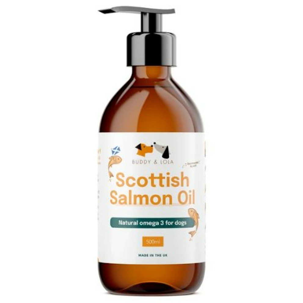 Best salmon oil for dogs: Recommendations and vet advice