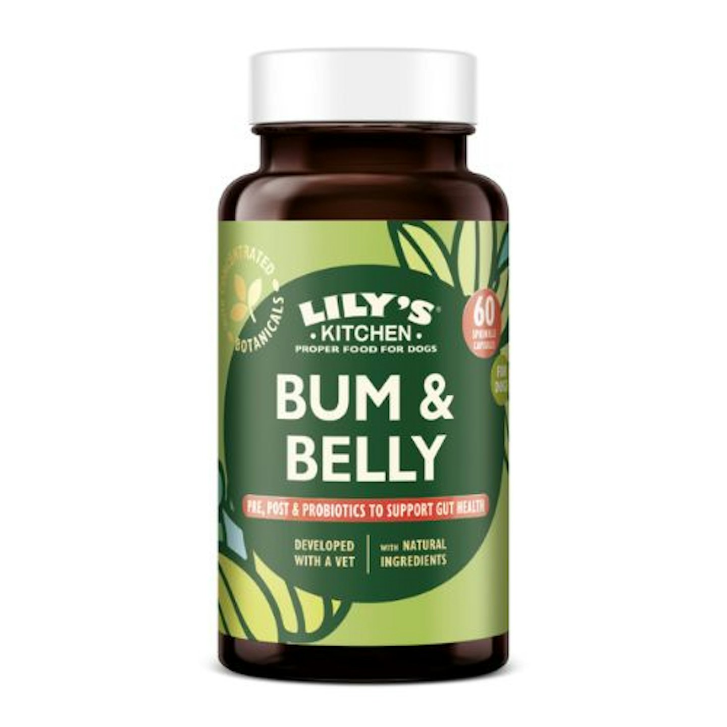 Lily's Kitchen Bum & Belly Supplements for Dogs