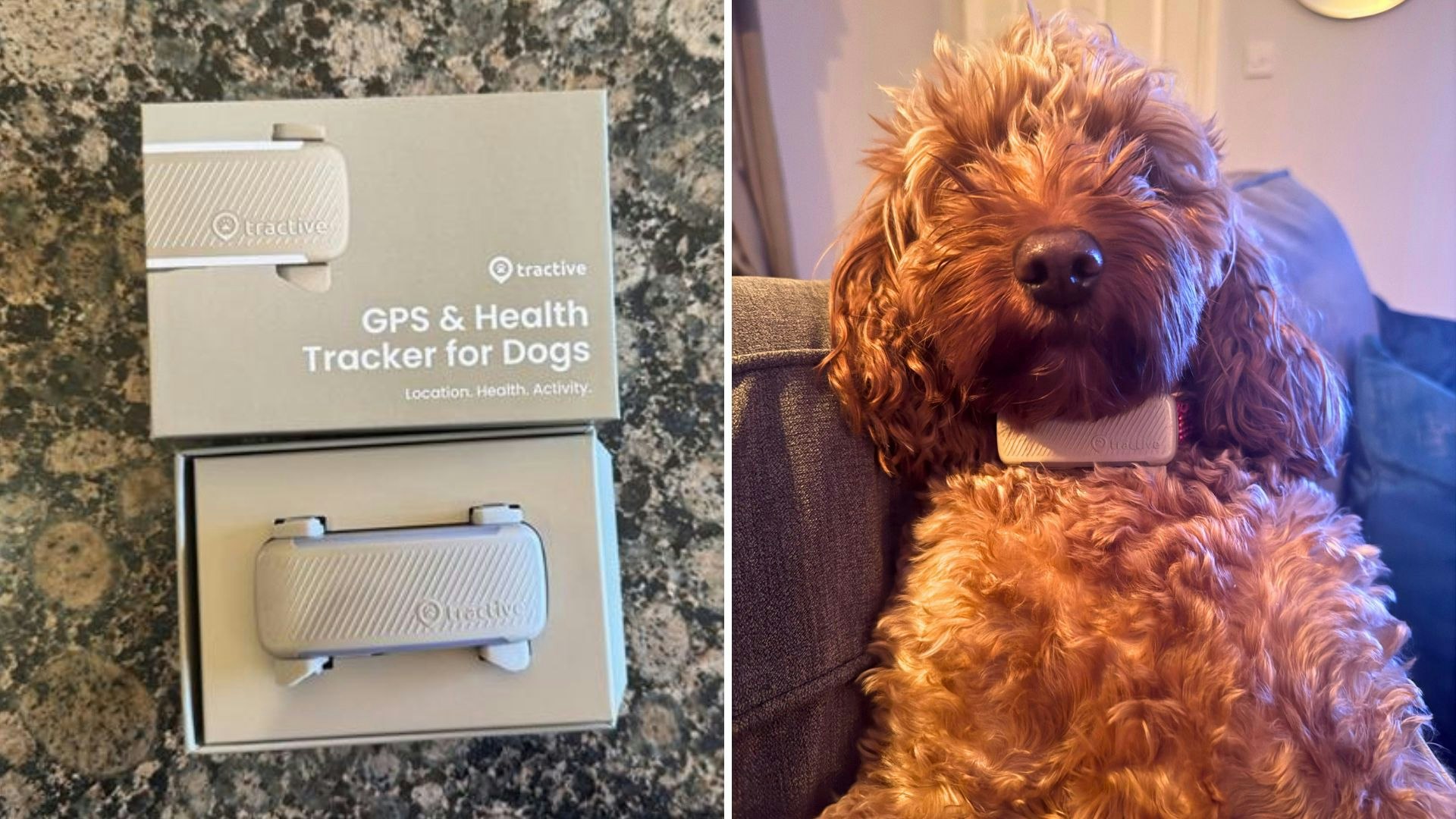 Tractive 2025 Tractive Gps Pet Tracker Hunters Edition Tractive