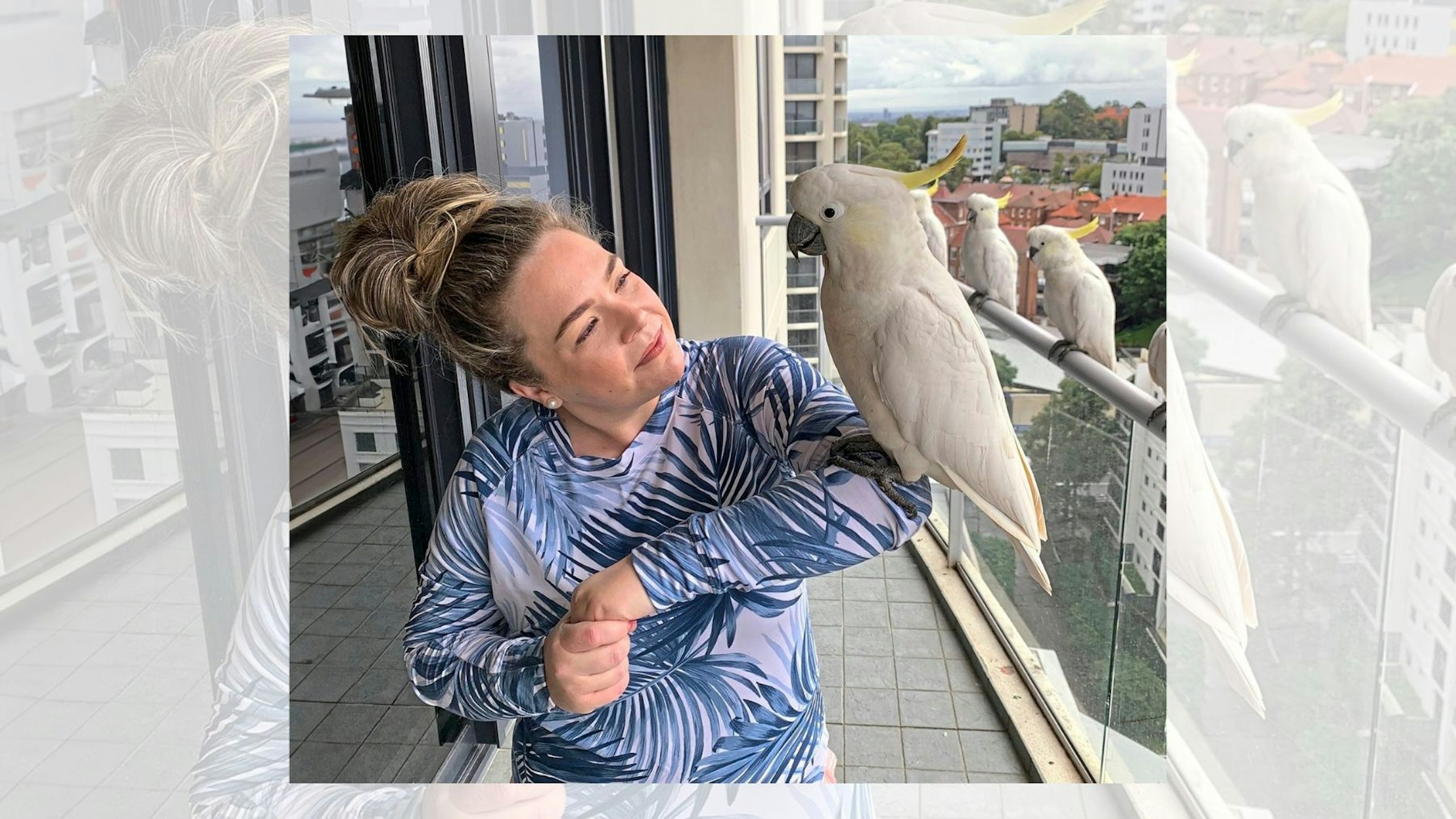 Bird Café
