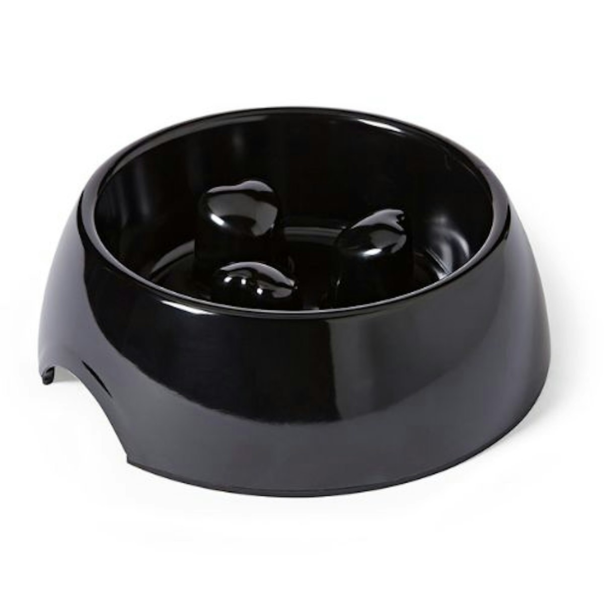 View of Best slow feeder bowls for dogs to encourage slower eating