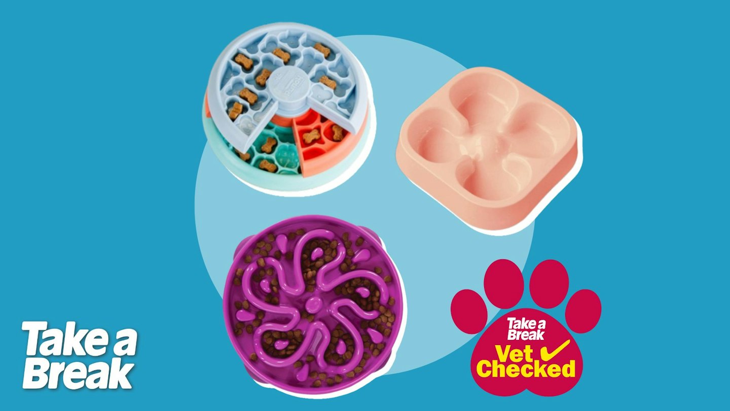 Best slow feeder bowls for dogs to encourage slower eating