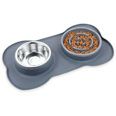 View of Best slow feeder bowls for dogs to encourage slower eating