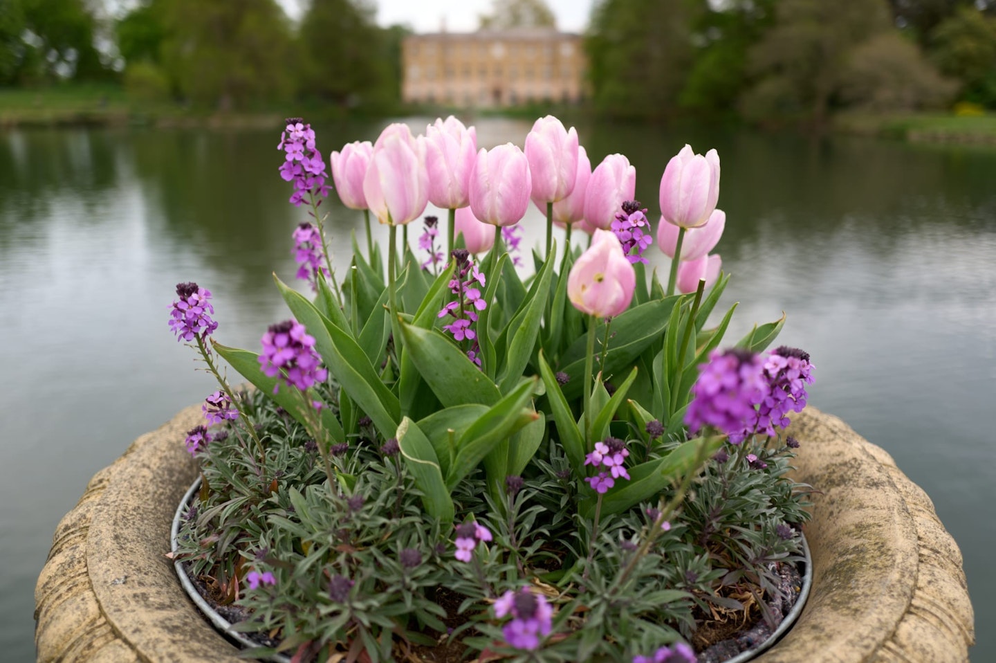 Kew Gardens Review