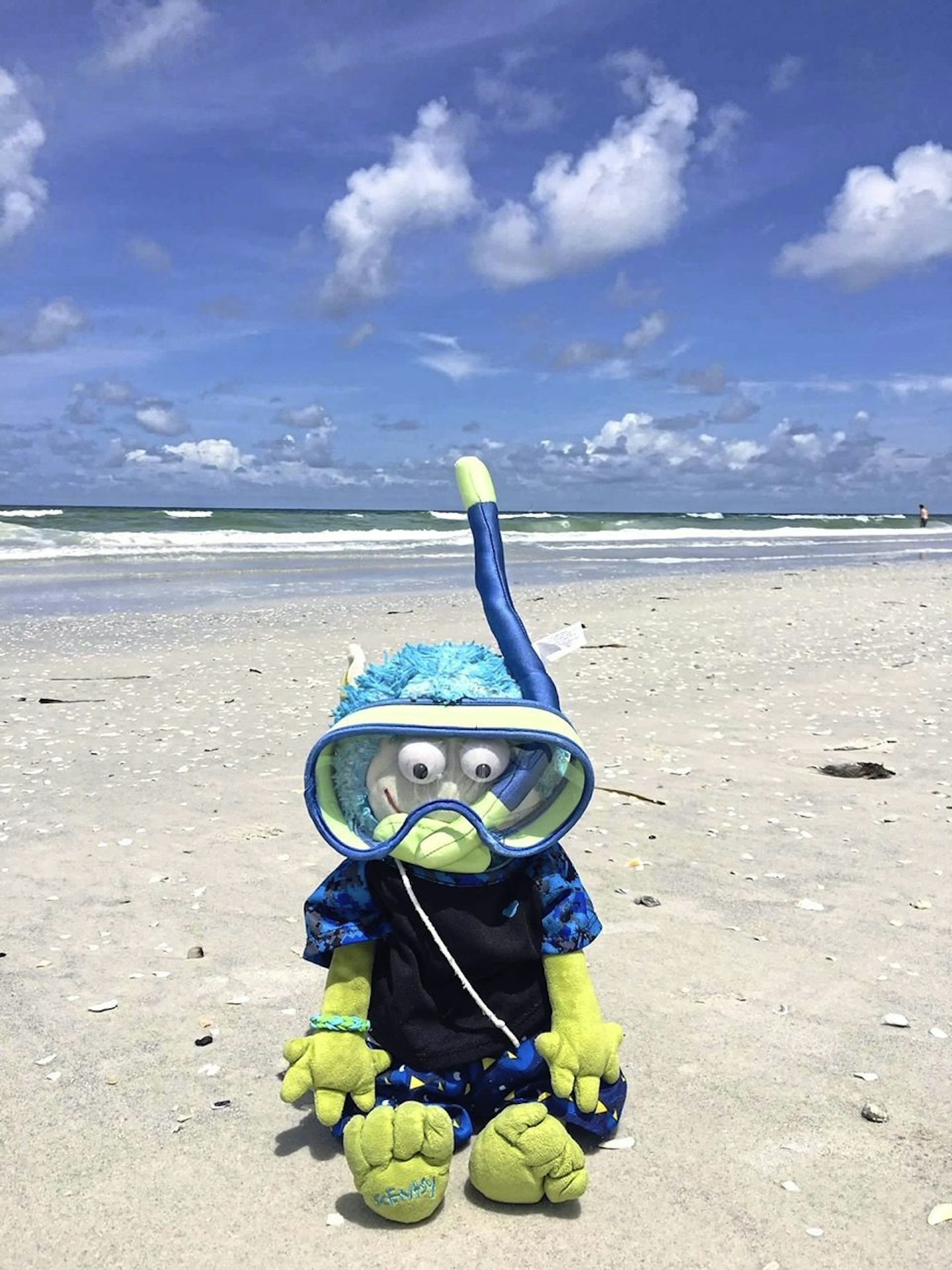 cuddly toy internet sensation