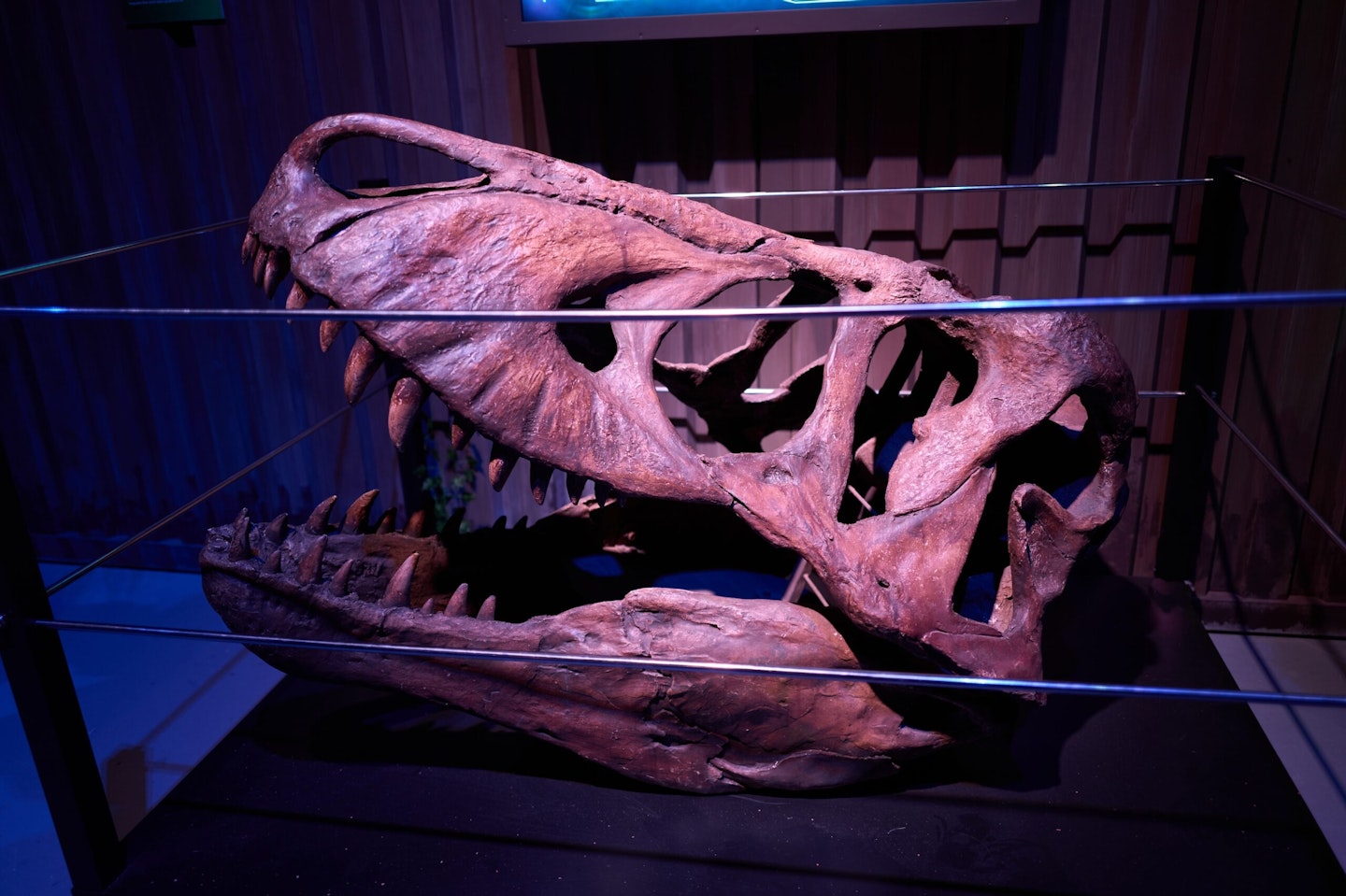 Jurassic World: The Experience Review