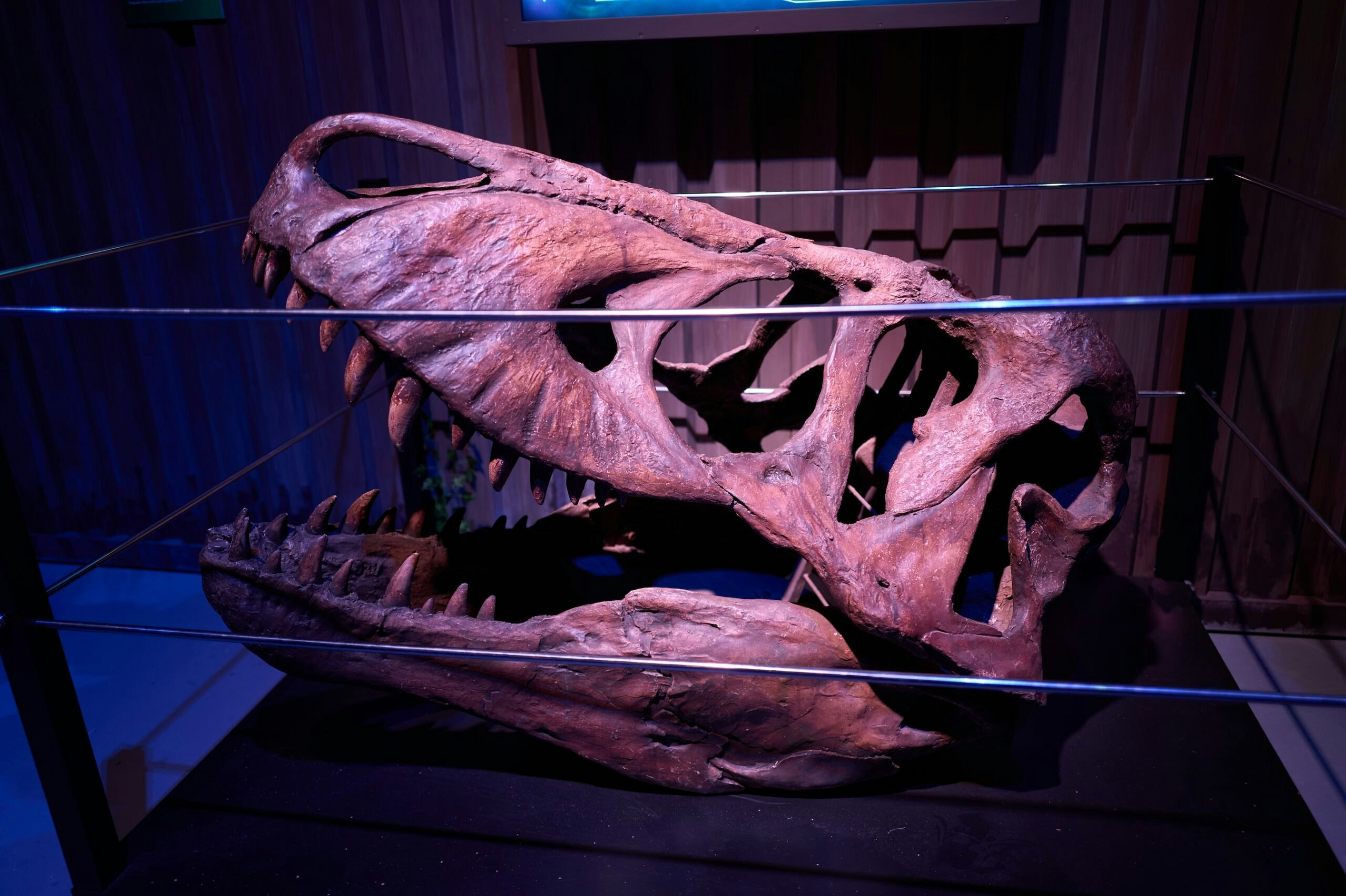 Jurassic World: The Experience Review
