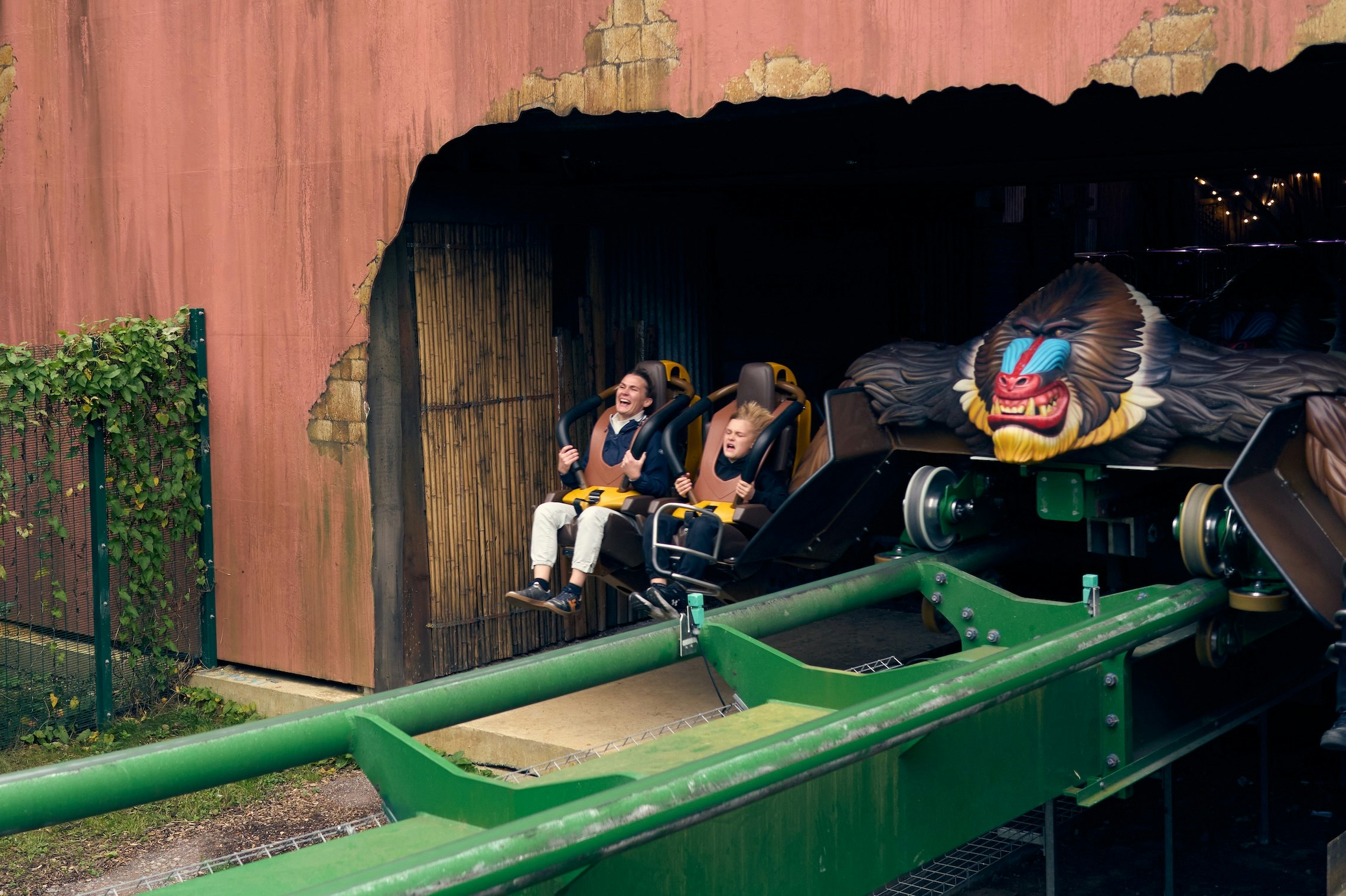 Chessington mandrill mayhem rollercoaster